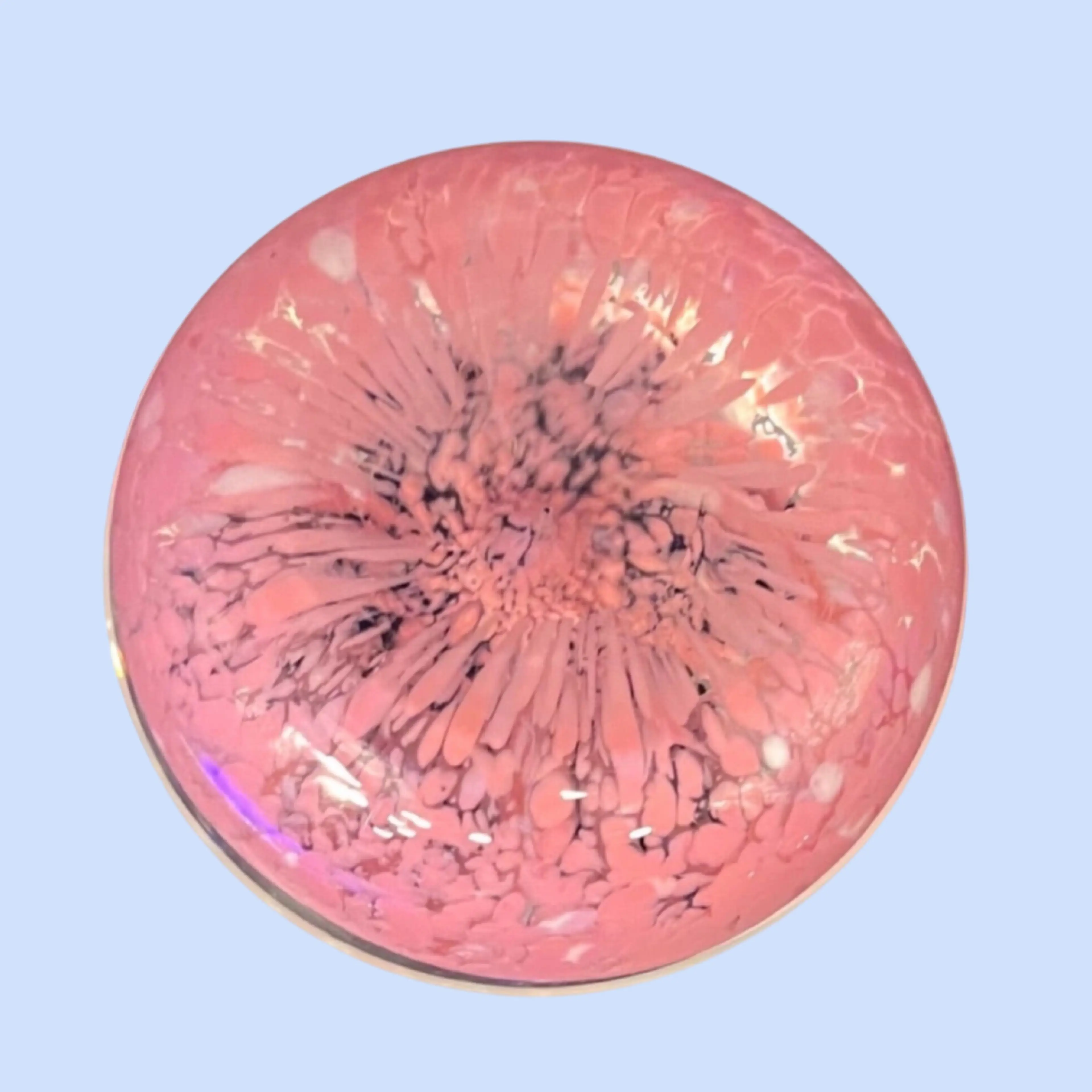 Image 5 of 8