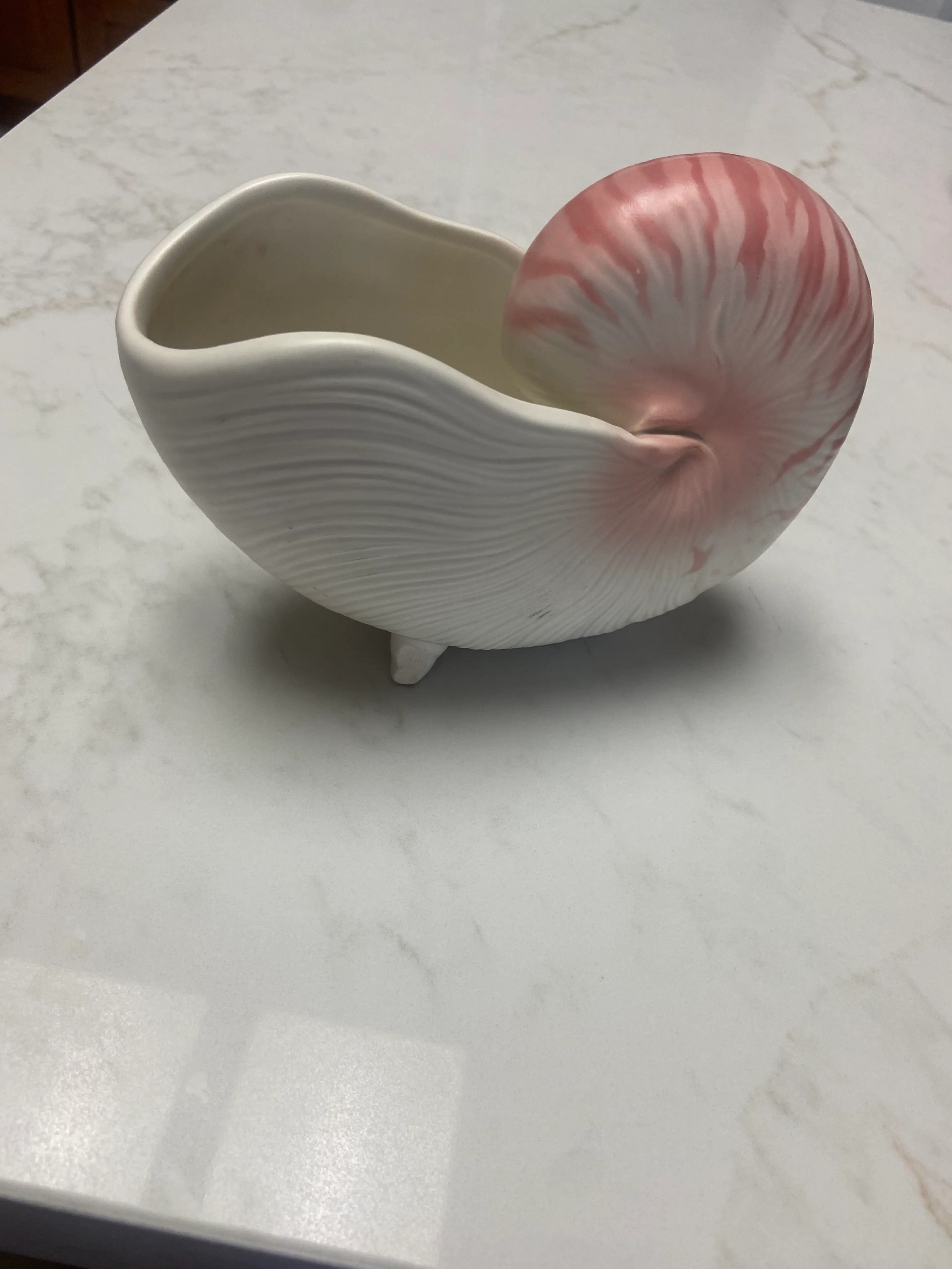 Image 5 of 6