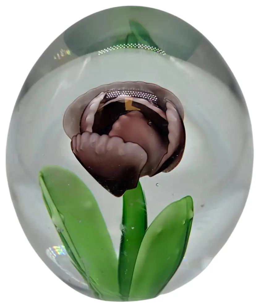 ART GLASS PURPLE TULIP PAPERWEIGHT