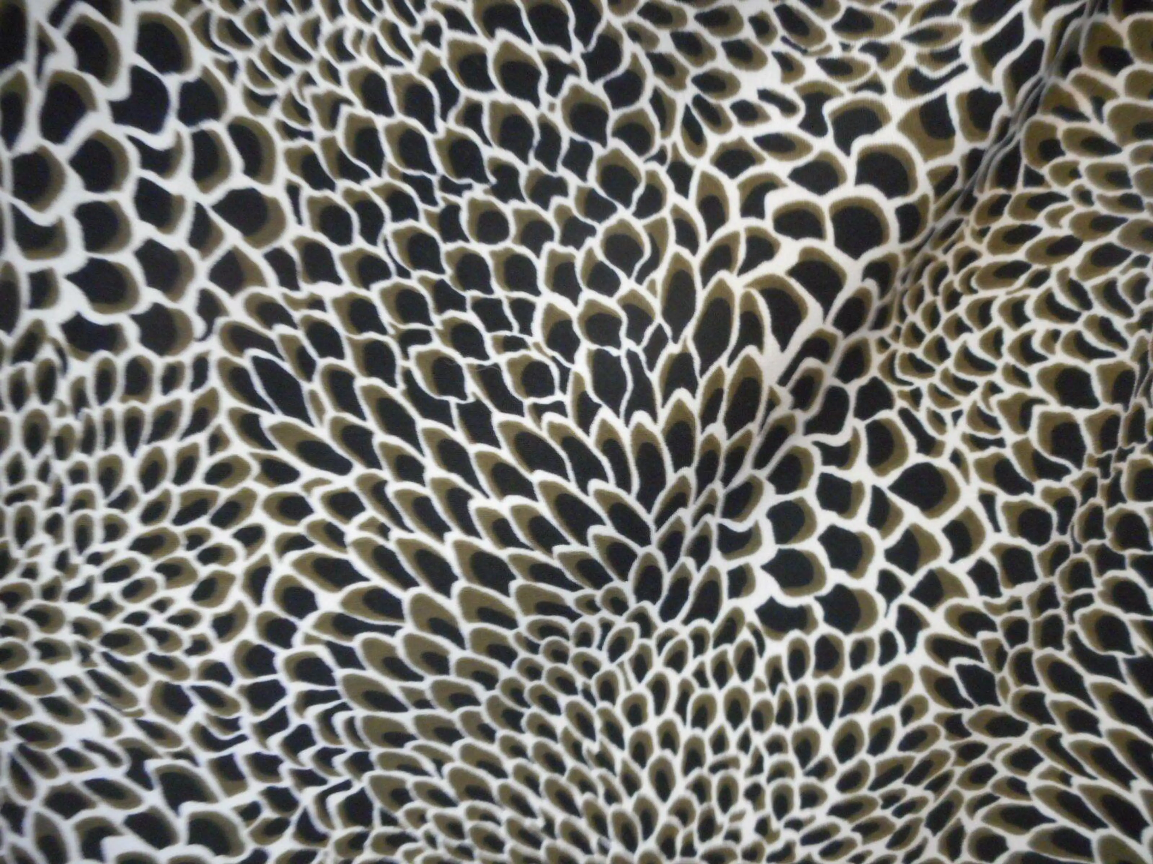 Image 2 of 10