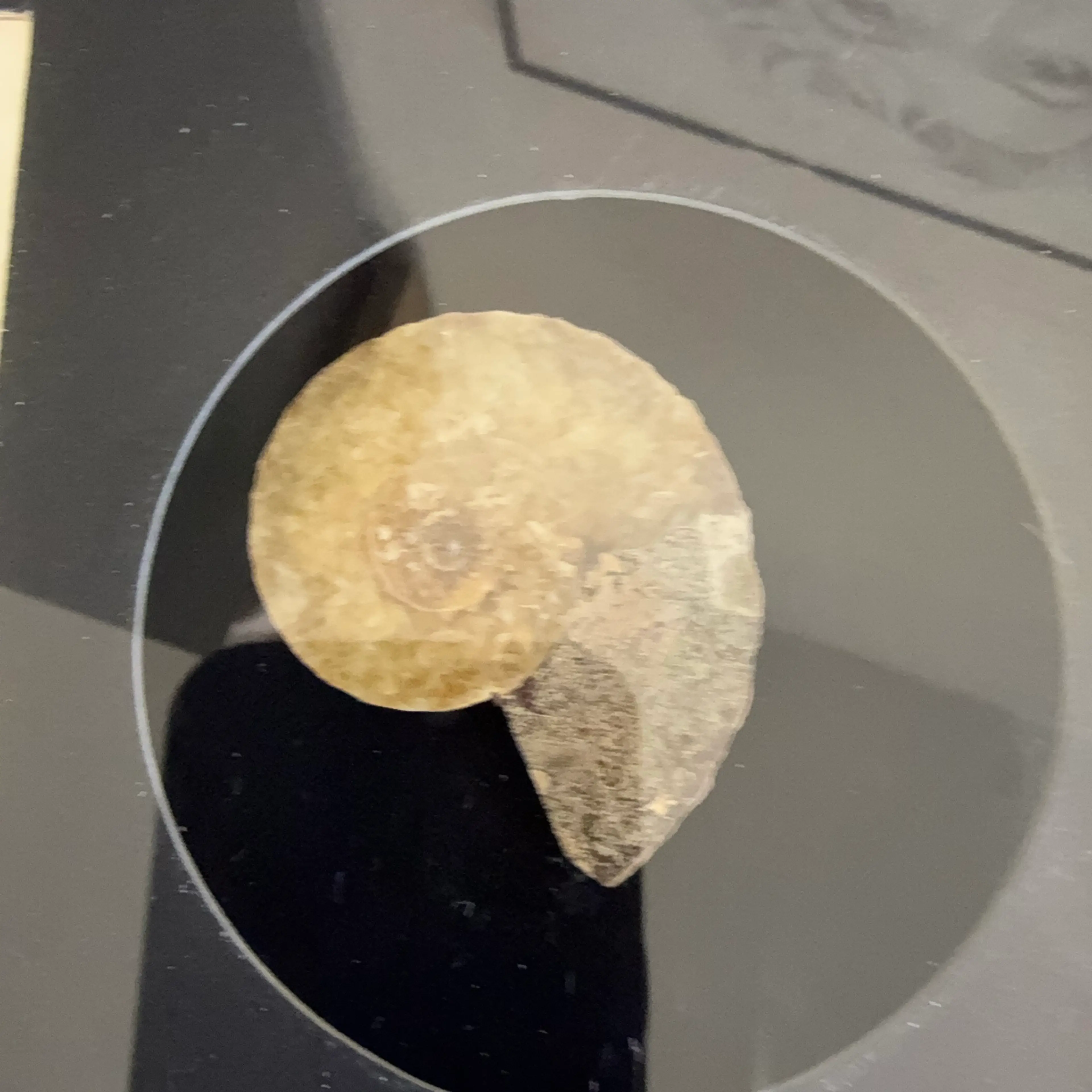 Image 3 of 4