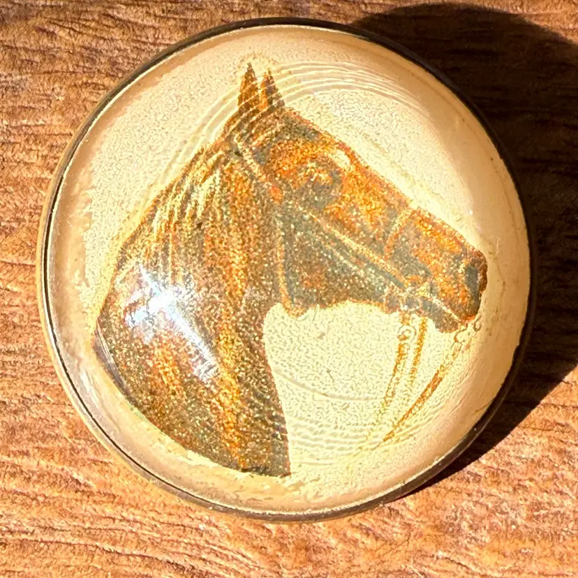 Antique Glass Domed Horse Bridle Rosette Brooch Pin Converted Equestrian Brass 1.75”