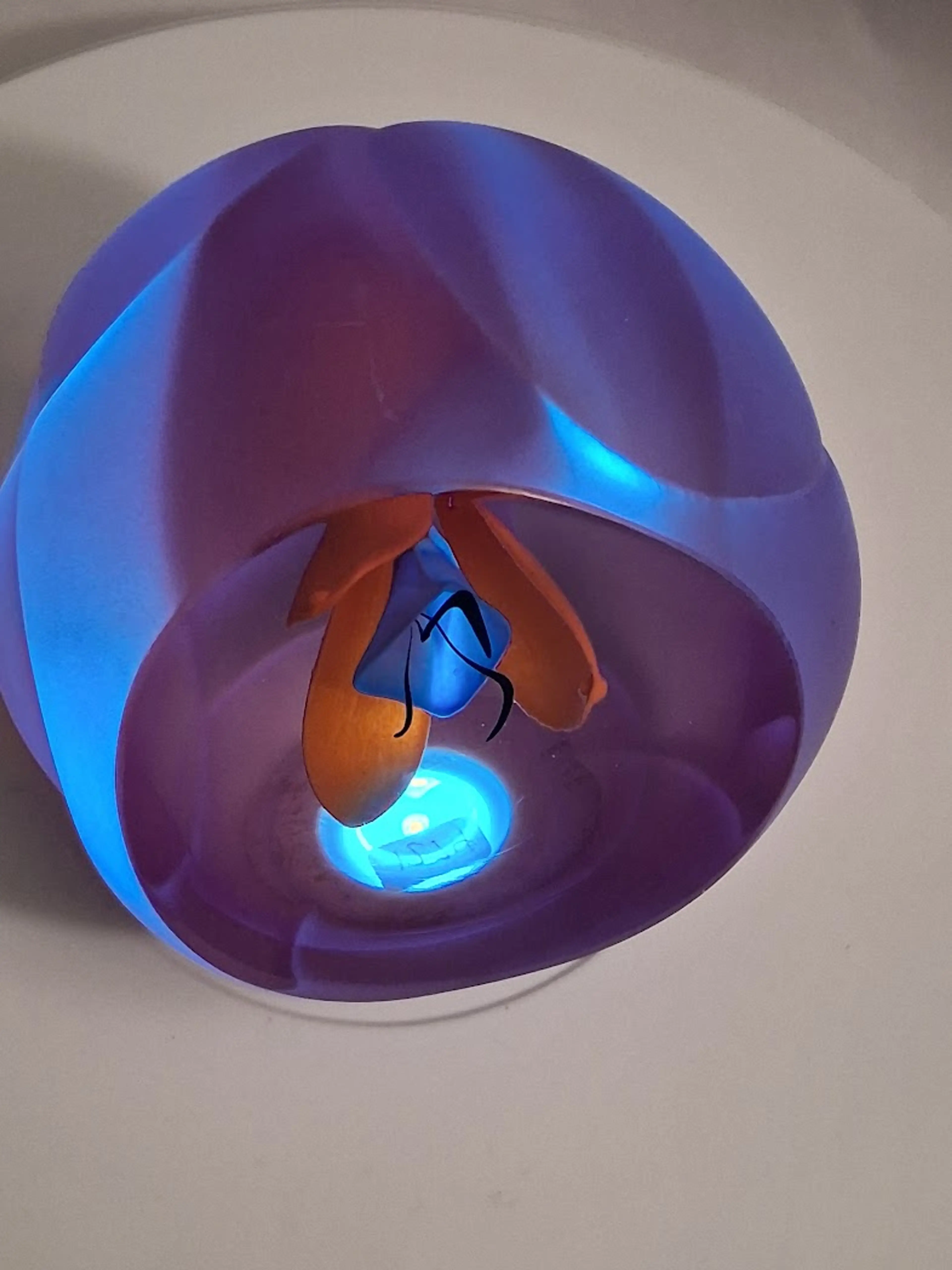 Image 4 of 14