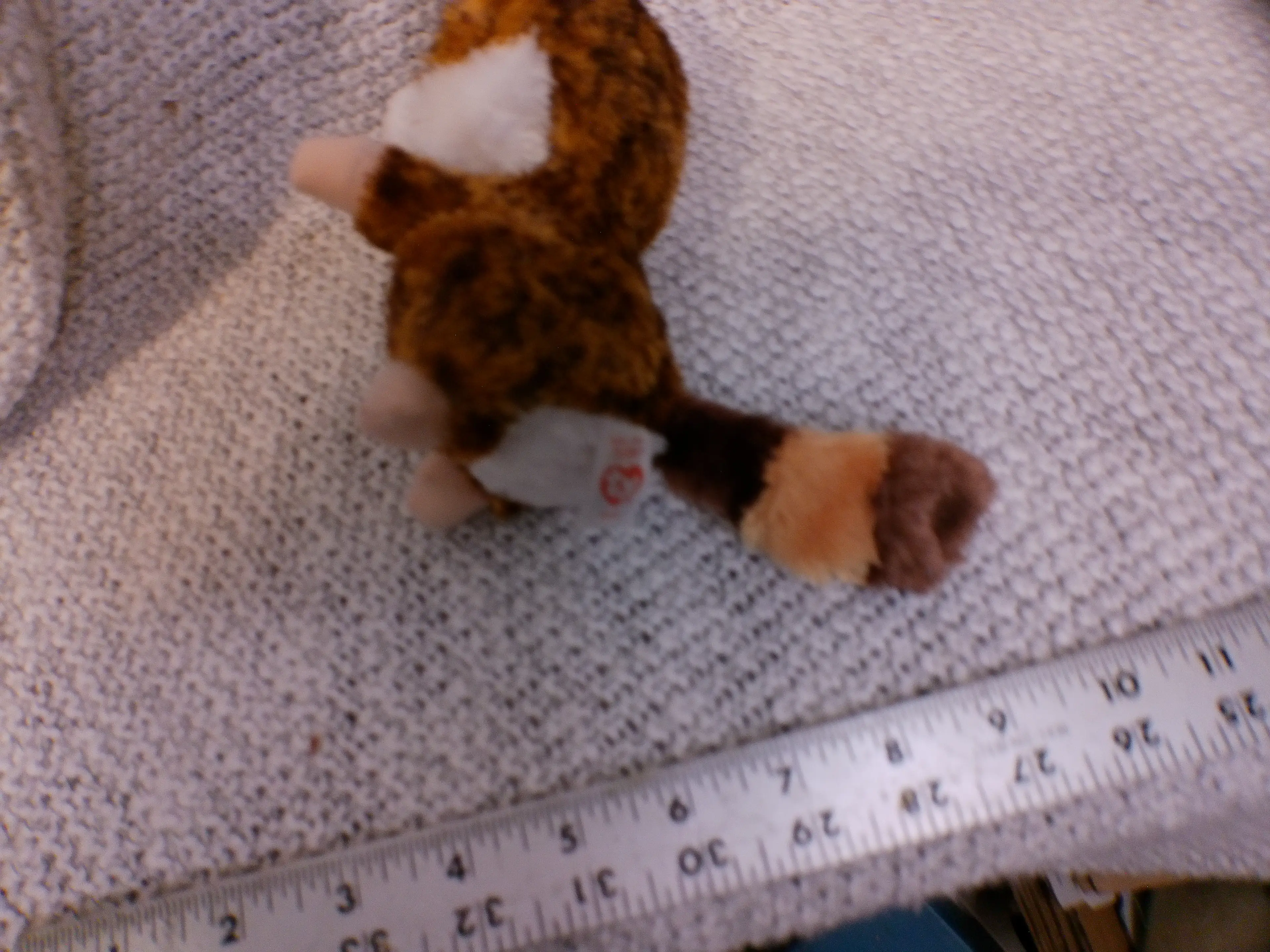 Image 3 of 3