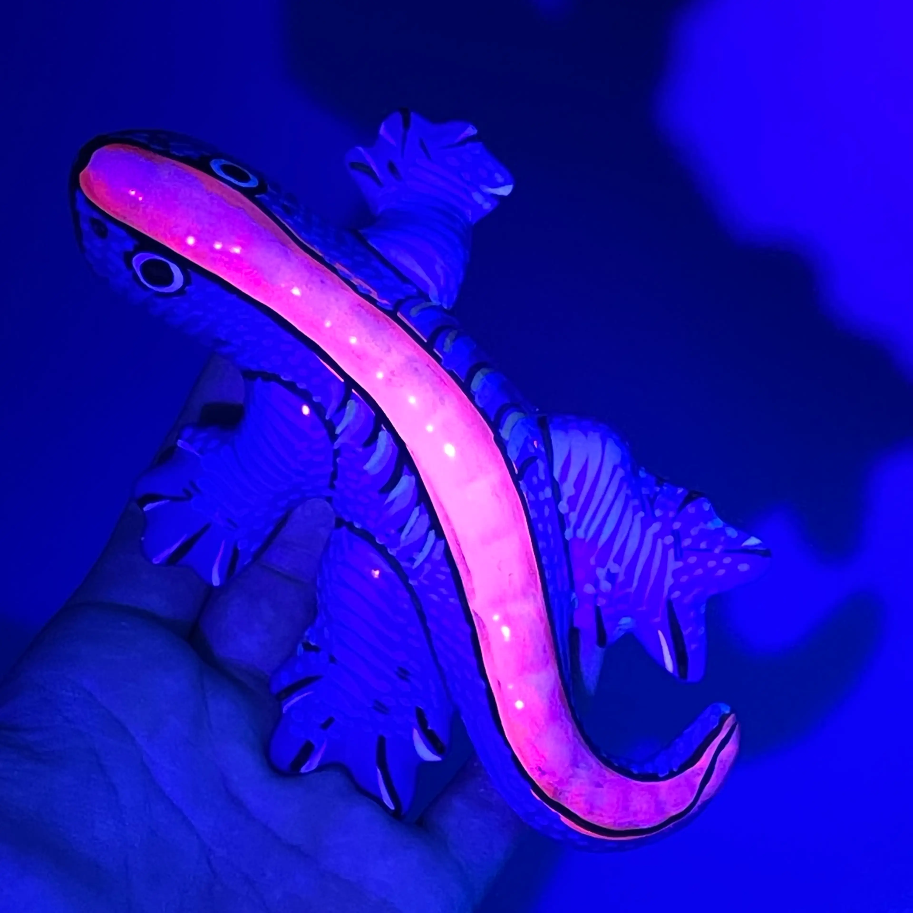 Image 3 of 19