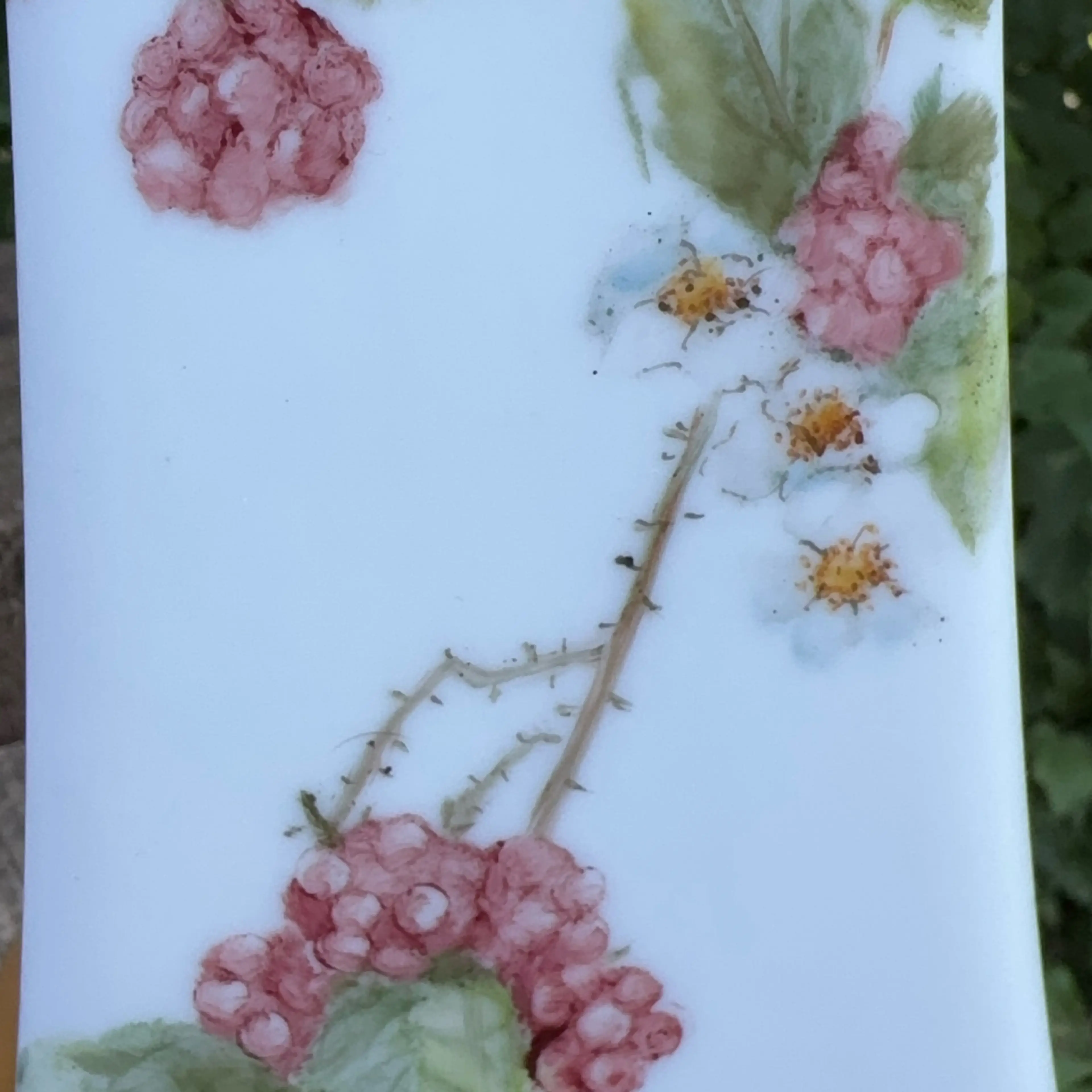 Image 2 of 5