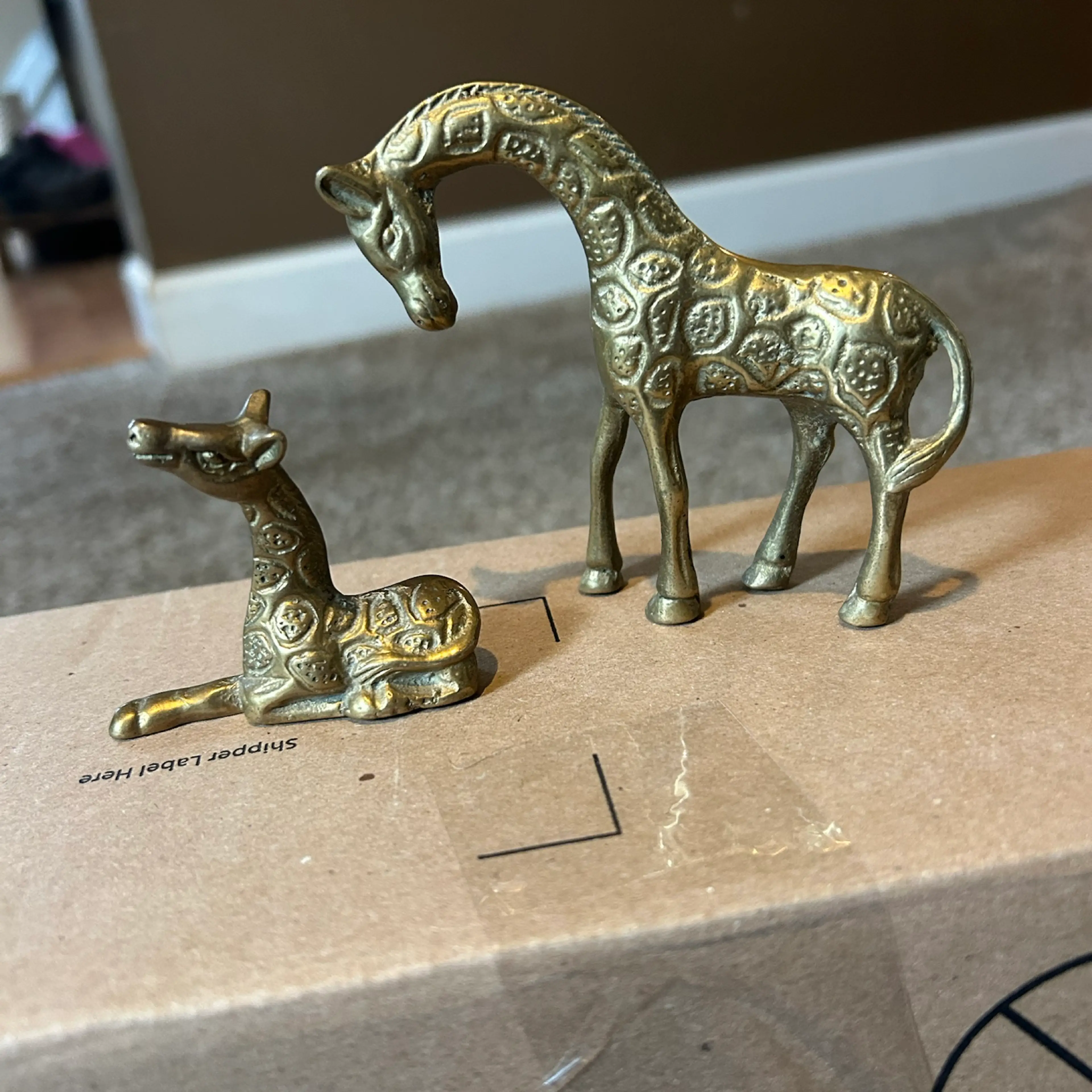 Image 2 of 5