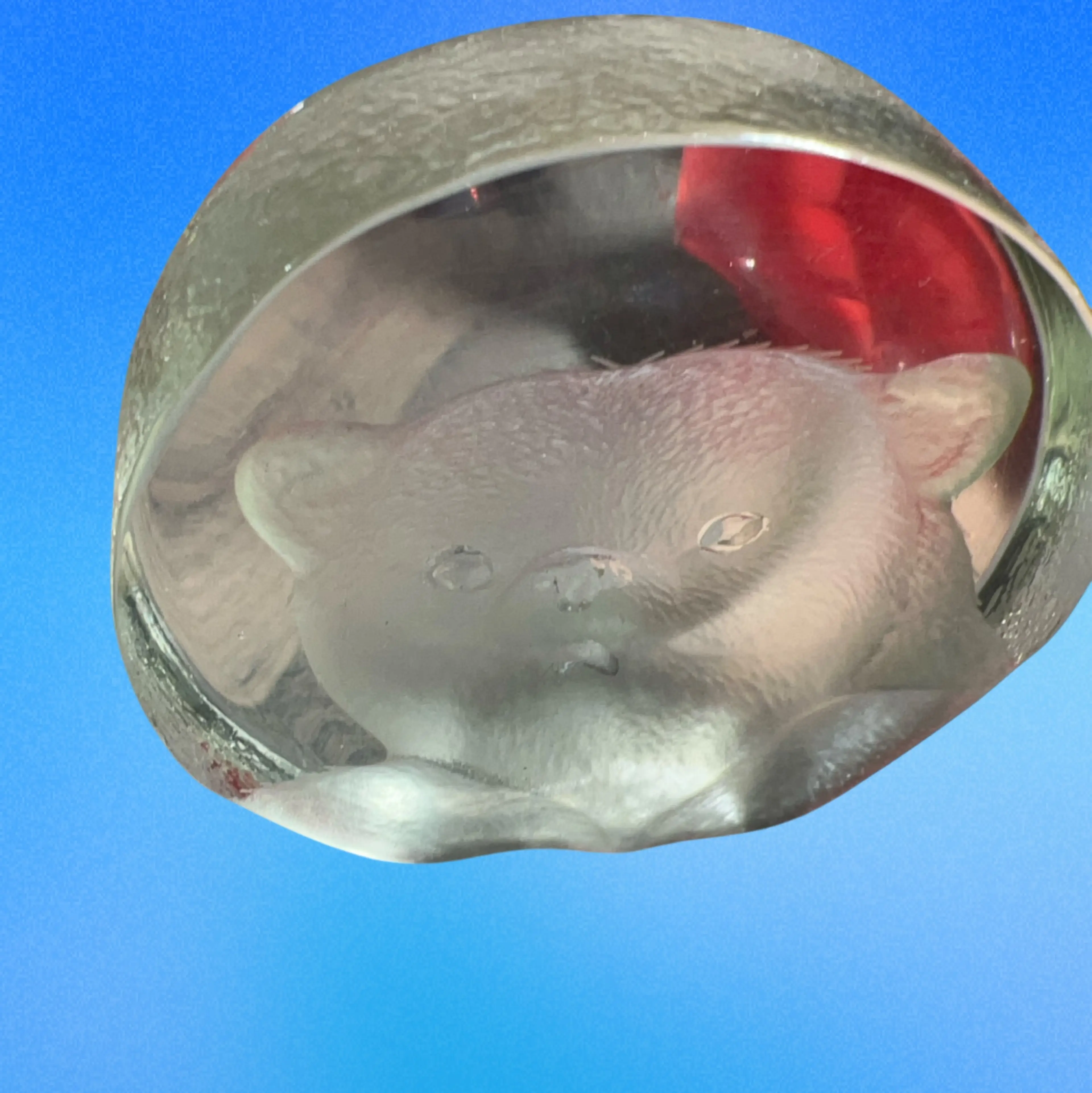 Image 5 of 6