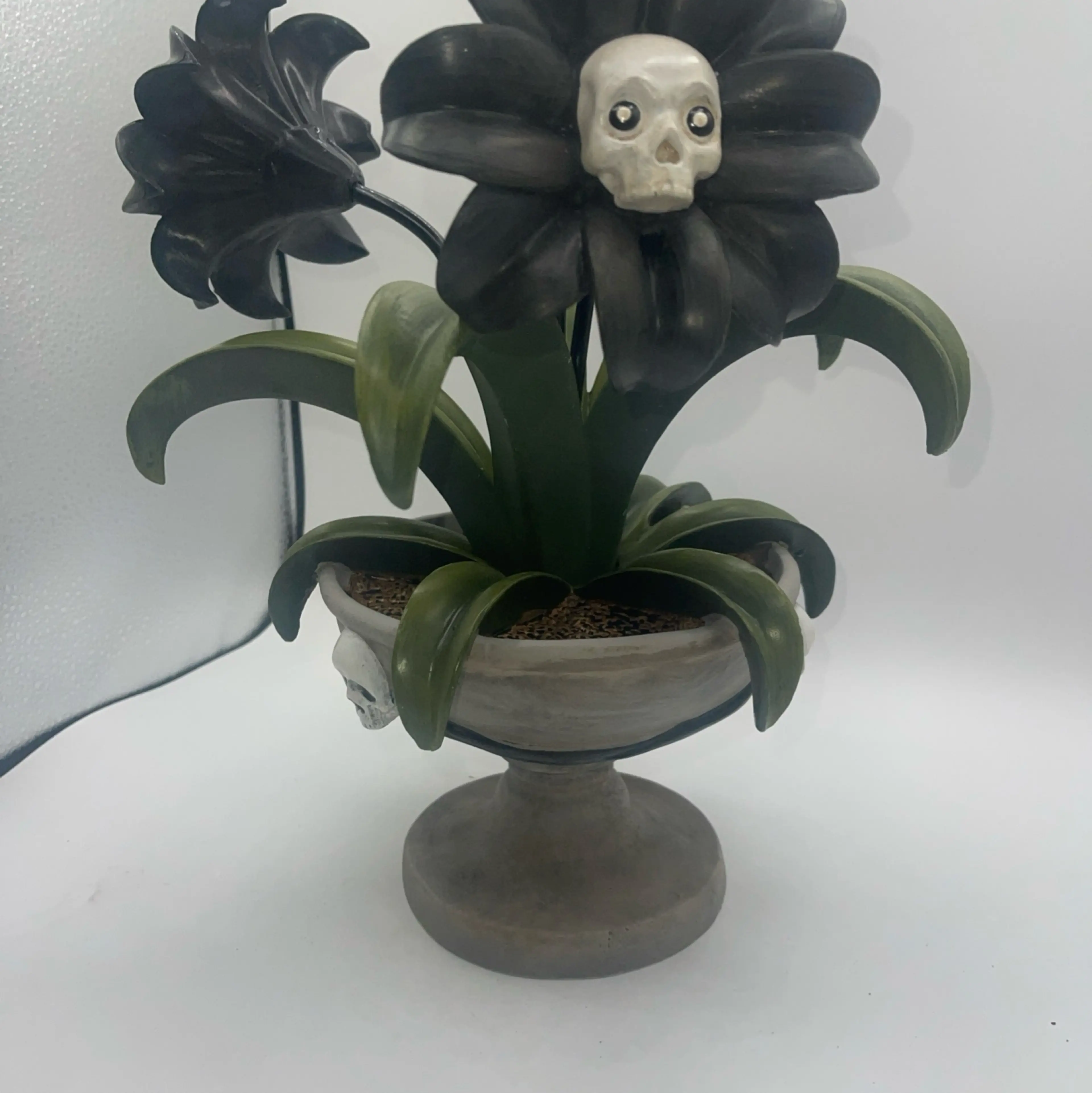 Image 5 of 10
