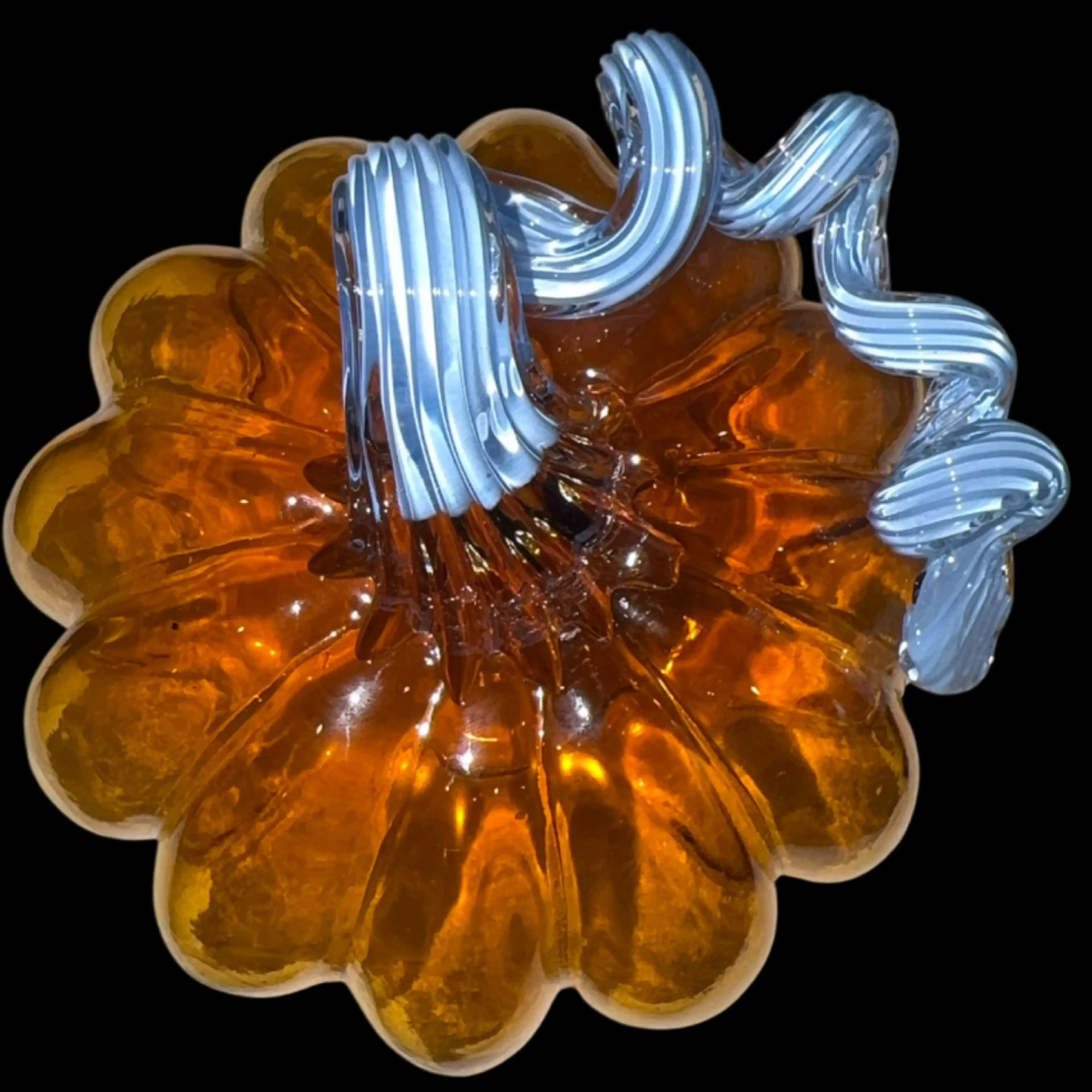 Image 5 of 5