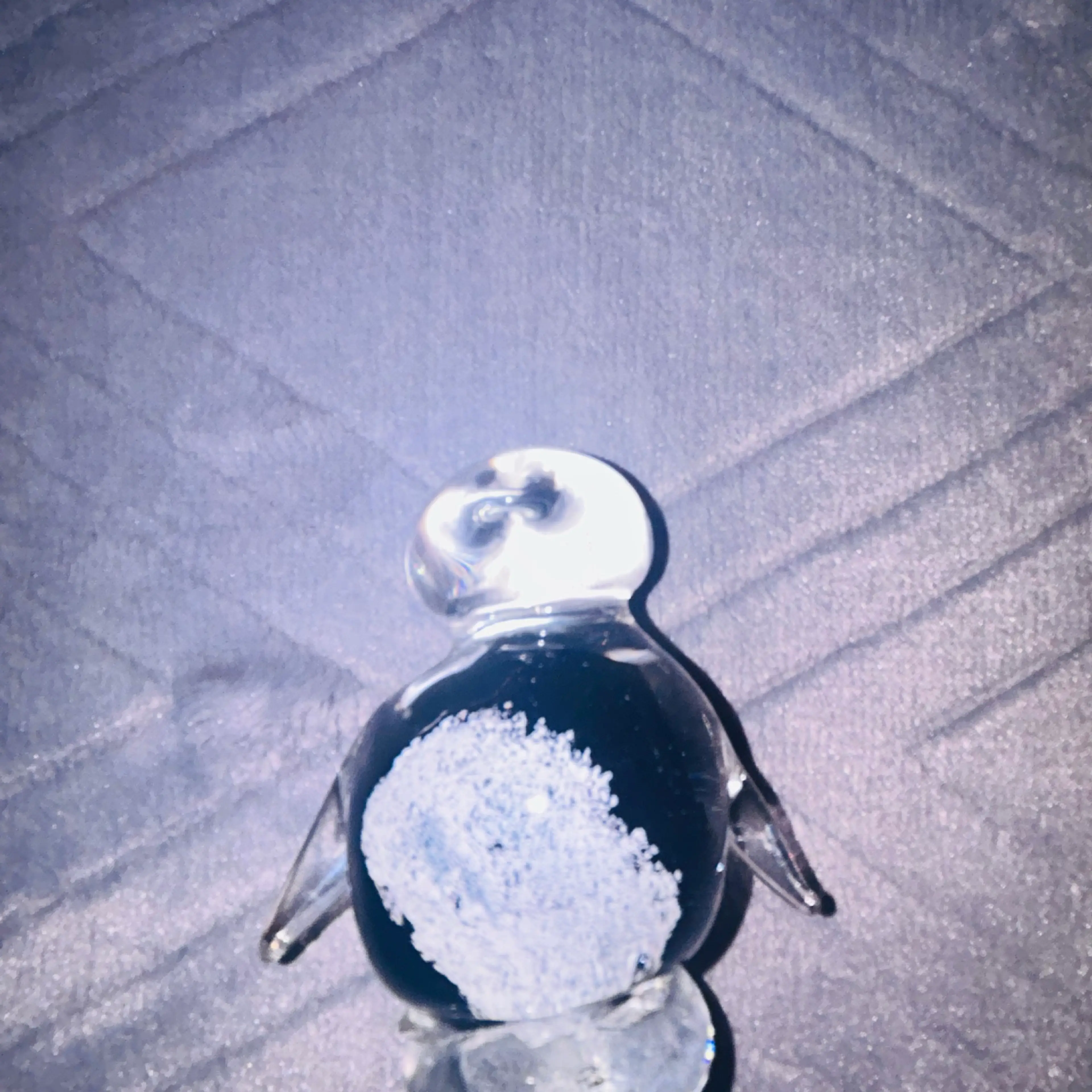 Image 5 of 7