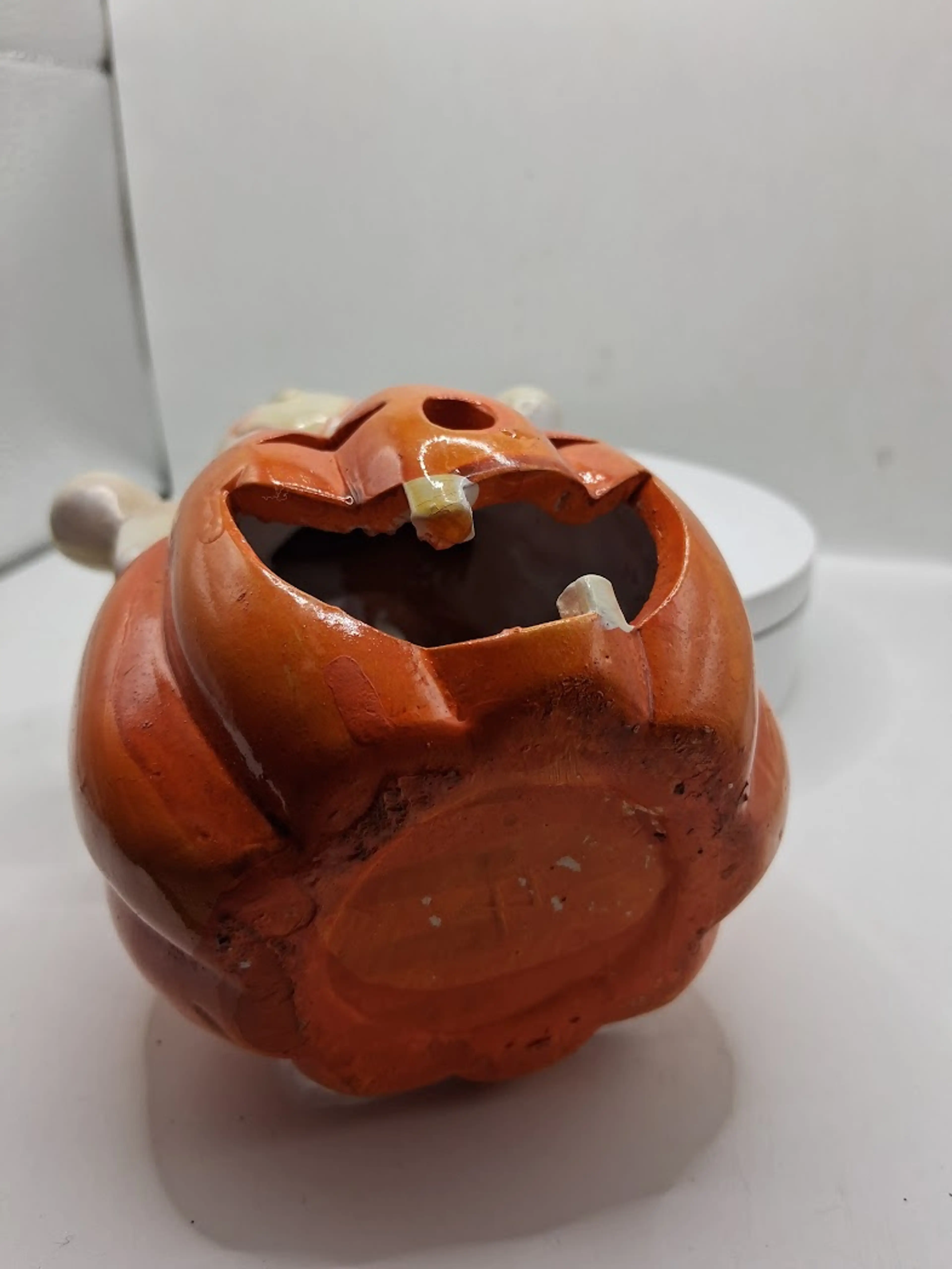 Image 5 of 5
