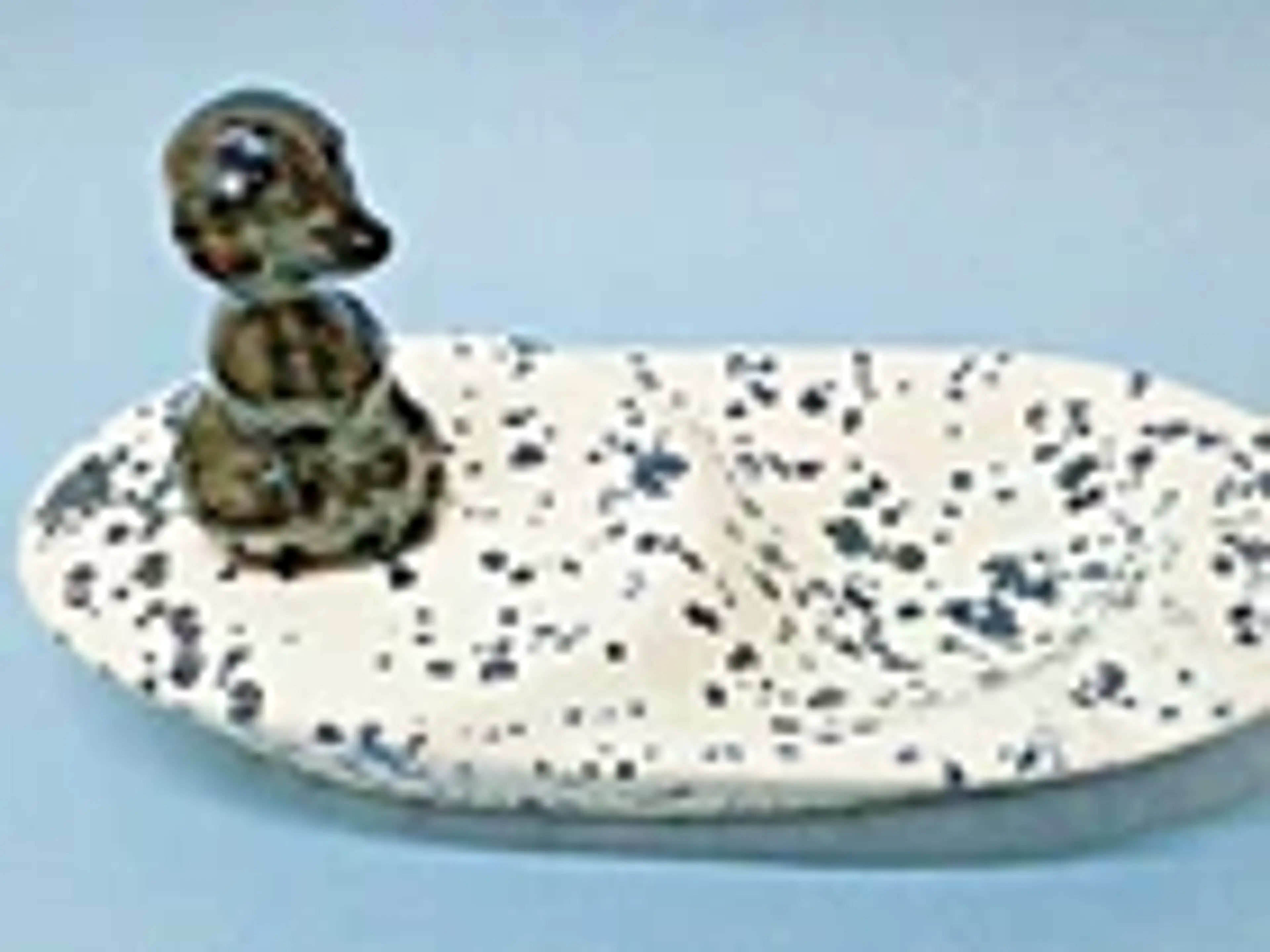 Image 4 of 15