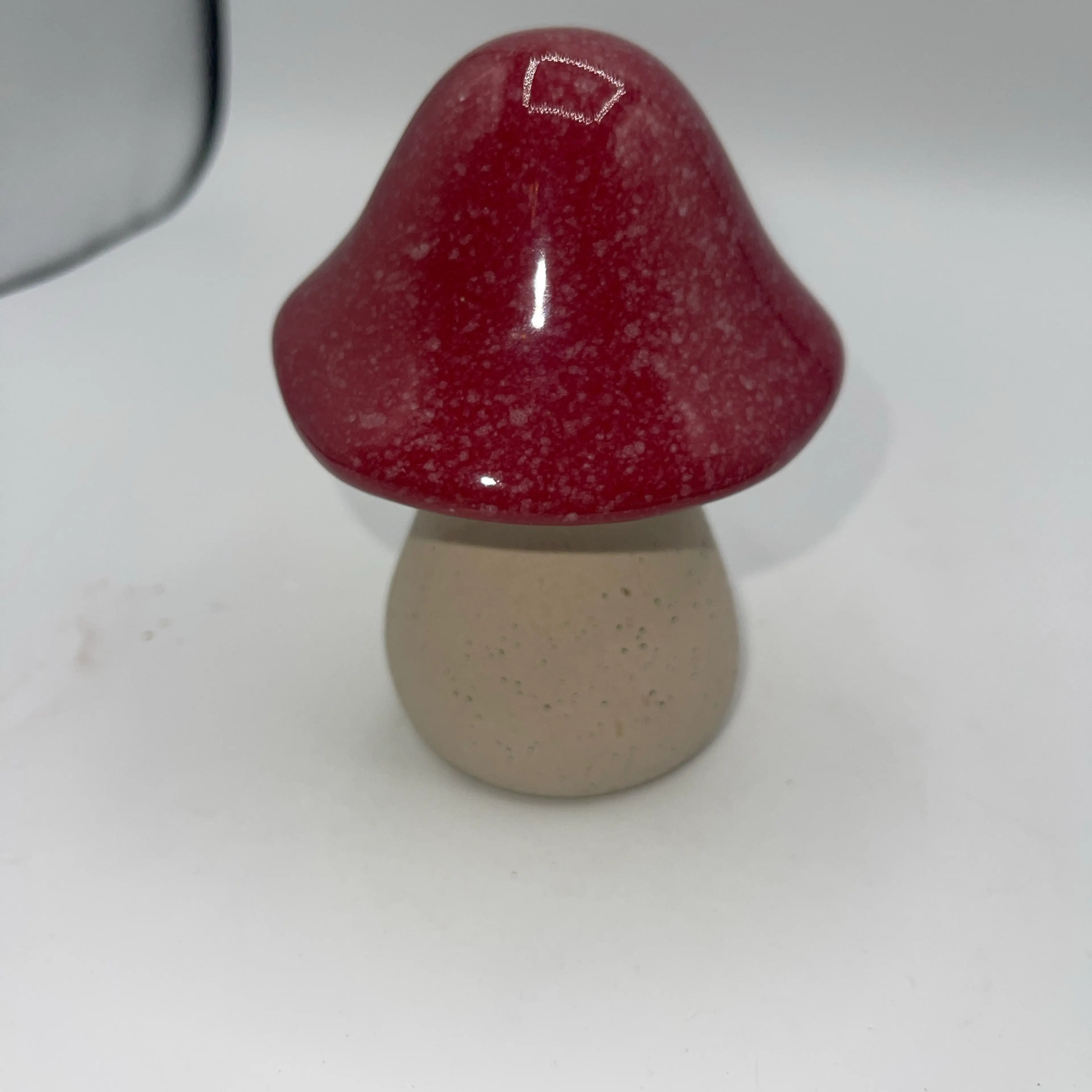 Image 5 of 5