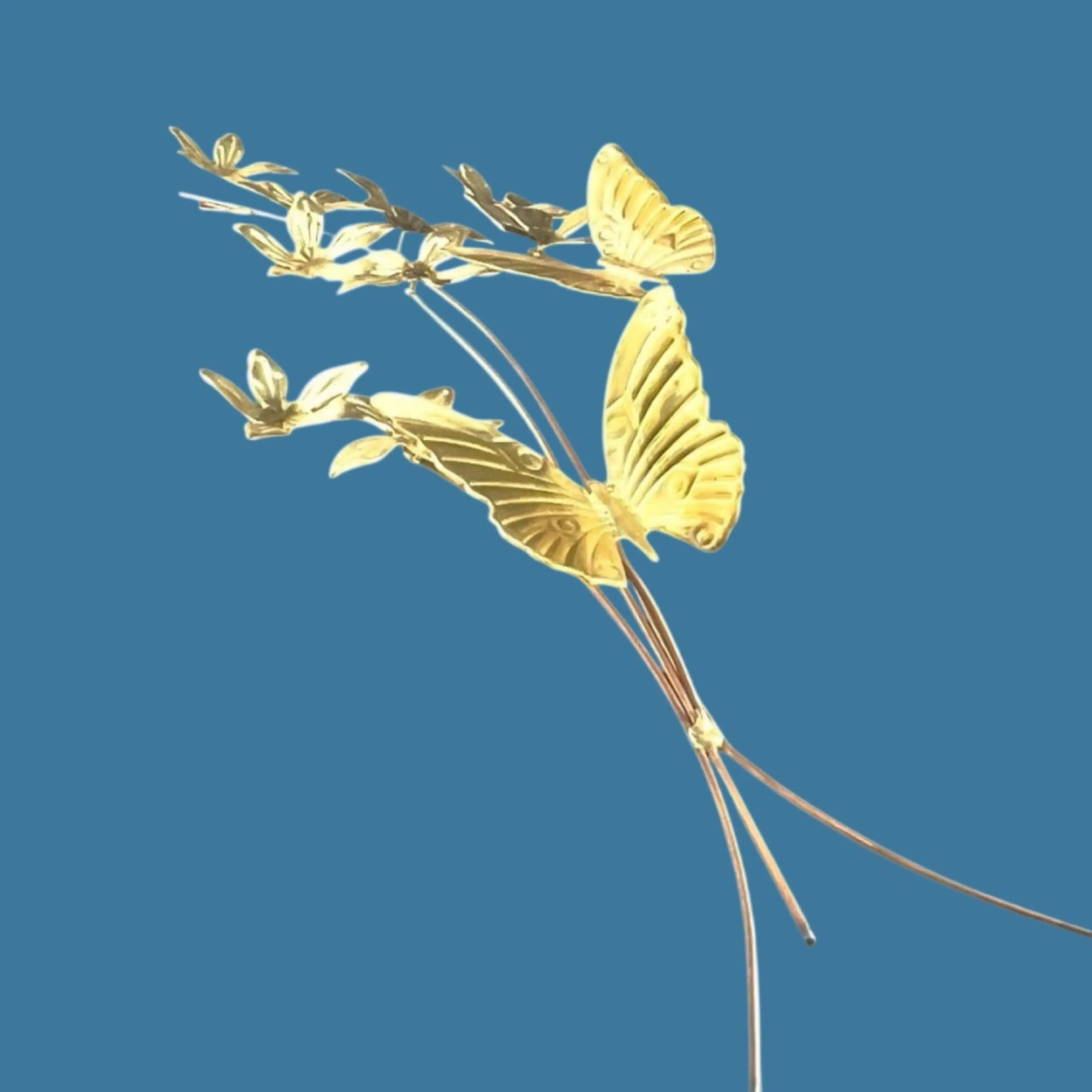 Image 2 of 14
