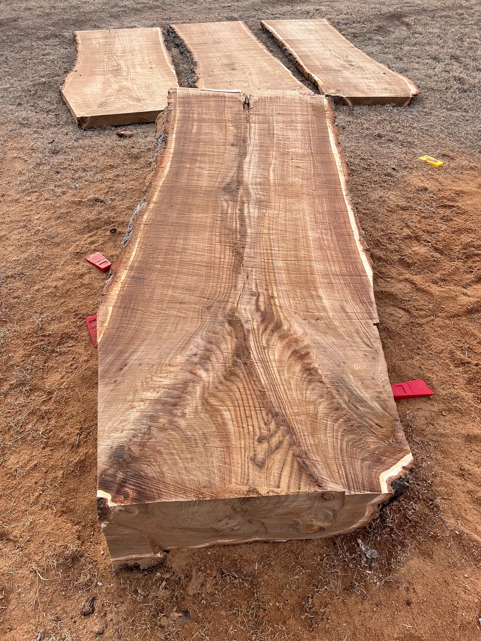 Box Elder slab showing natural character