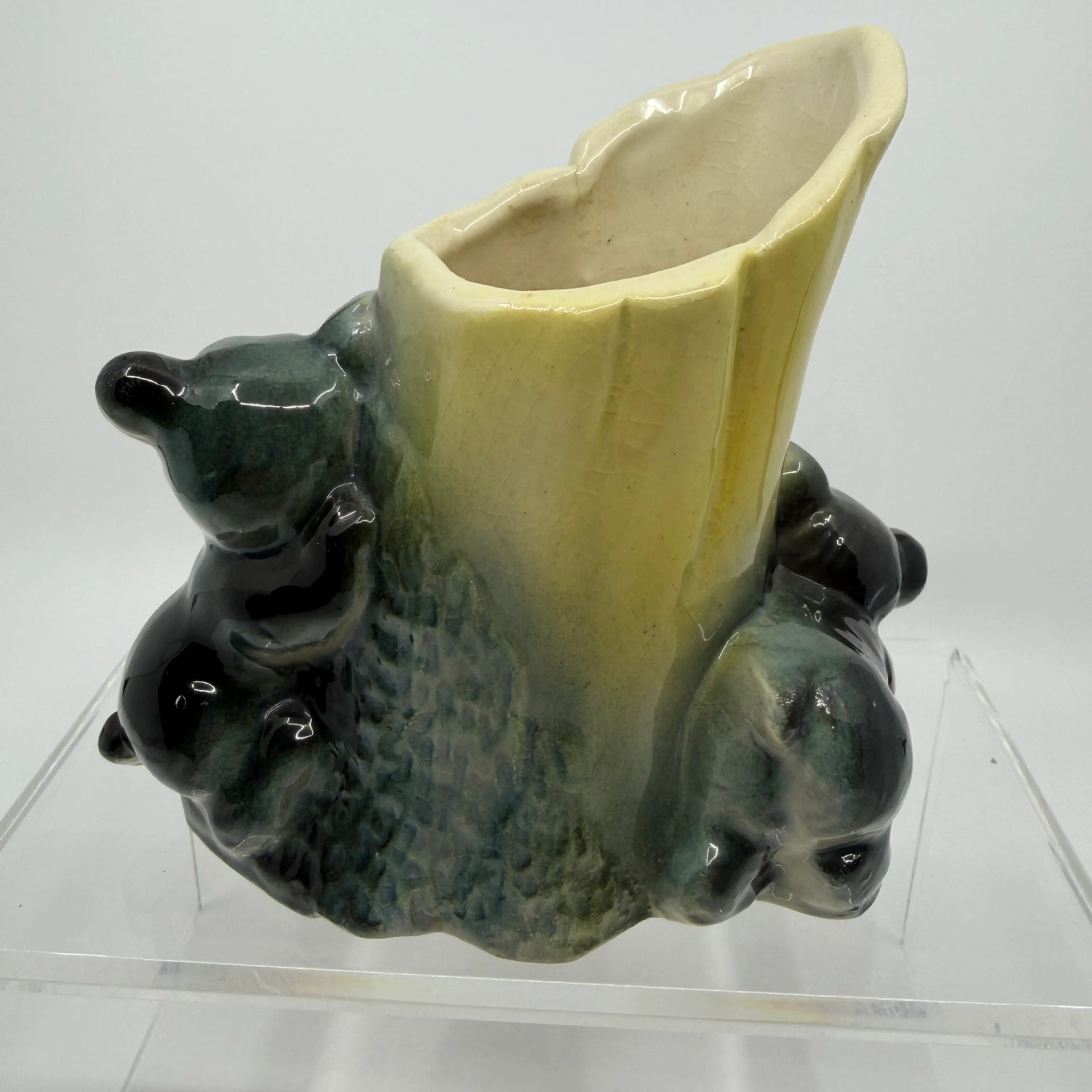 Image 5 of 8
