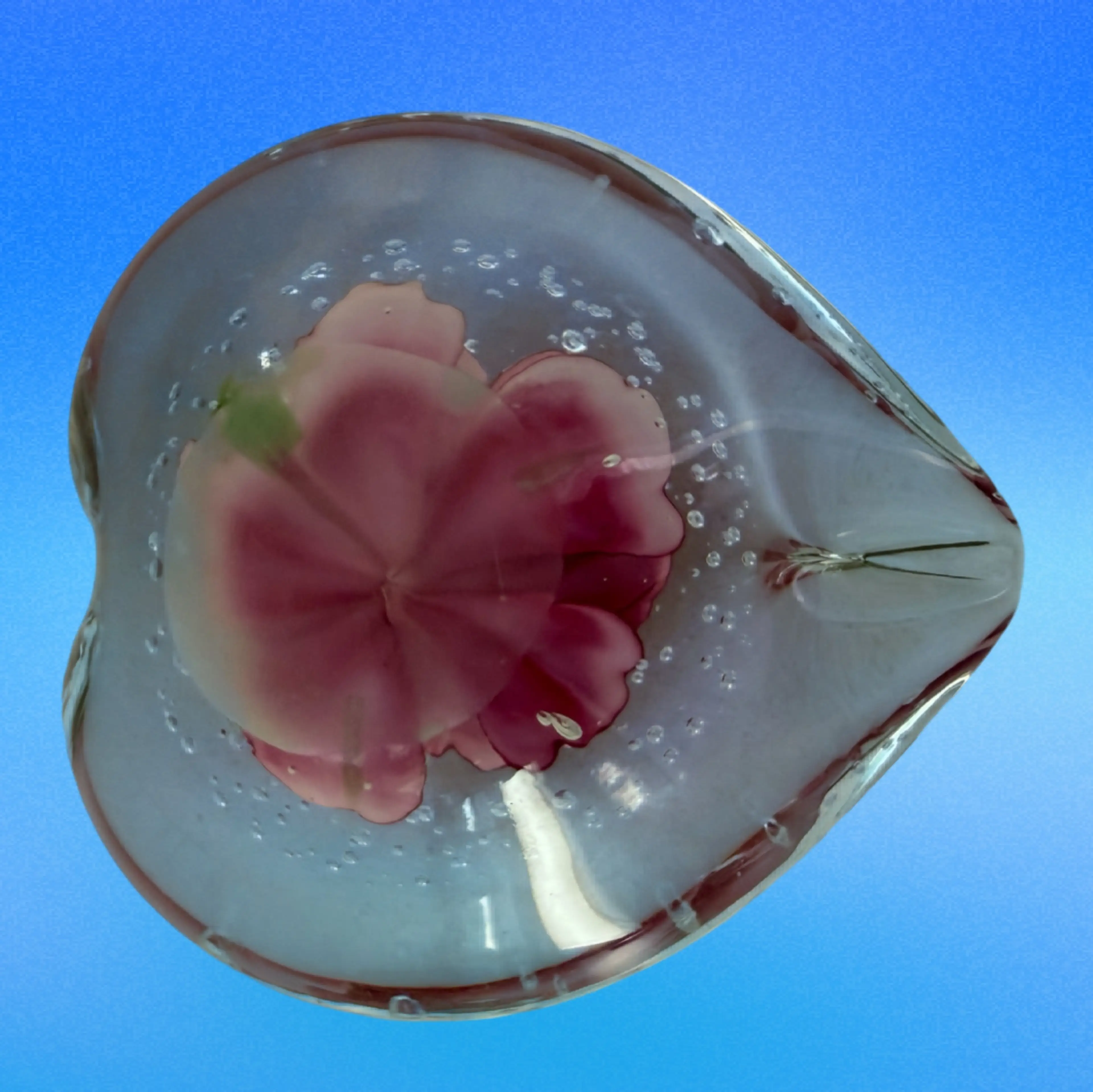 Image 4 of 5