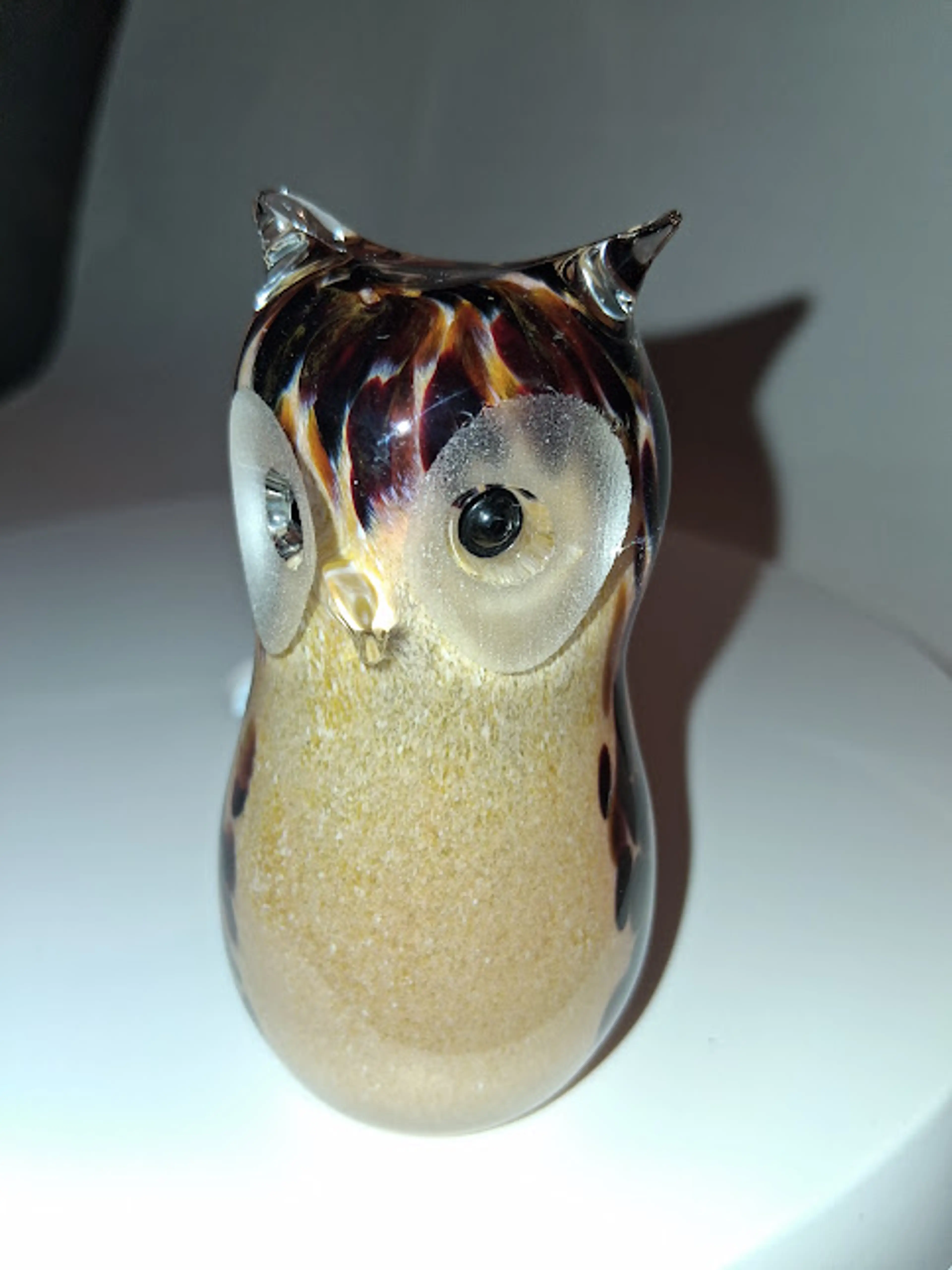 Image 2 of 11