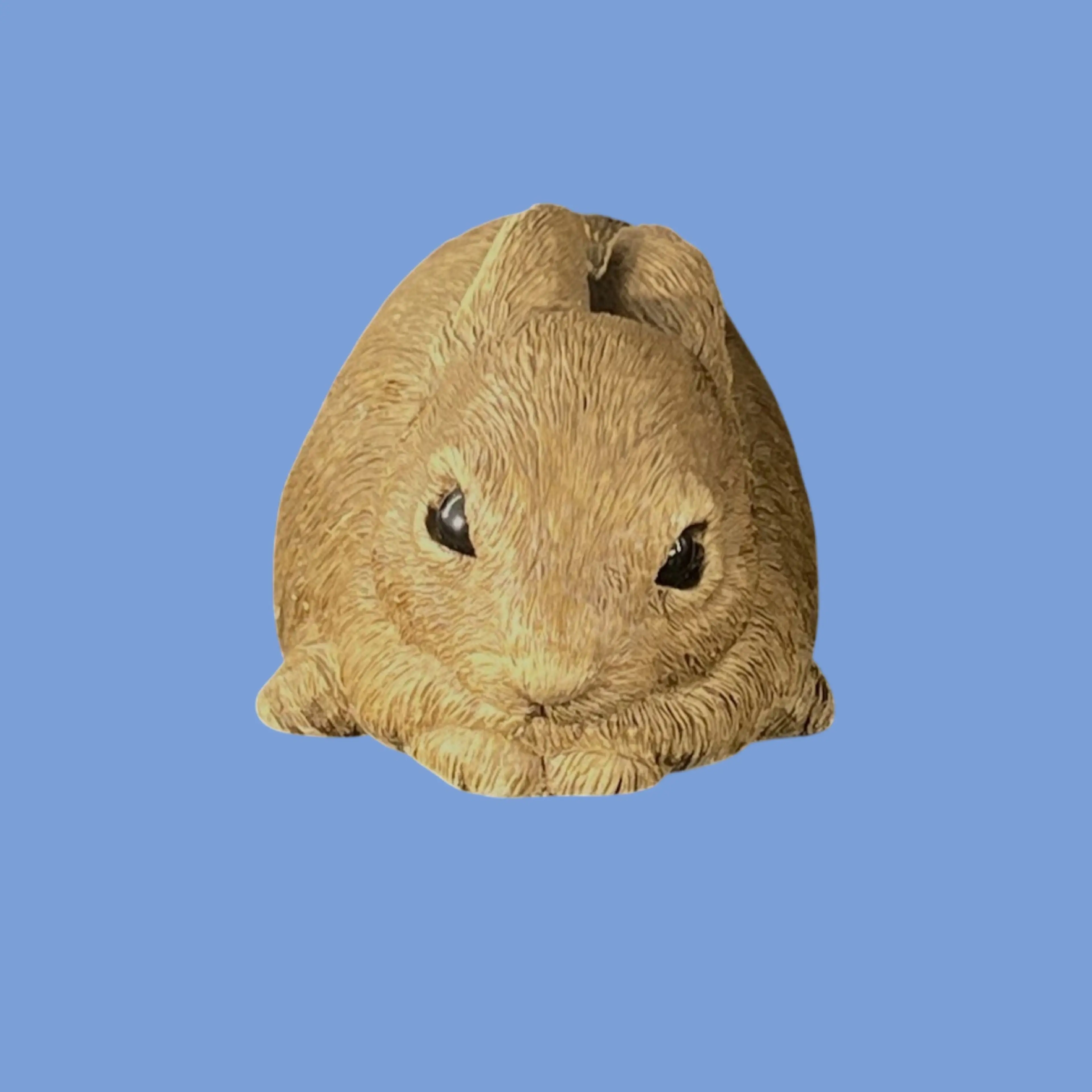 Image 4 of 14