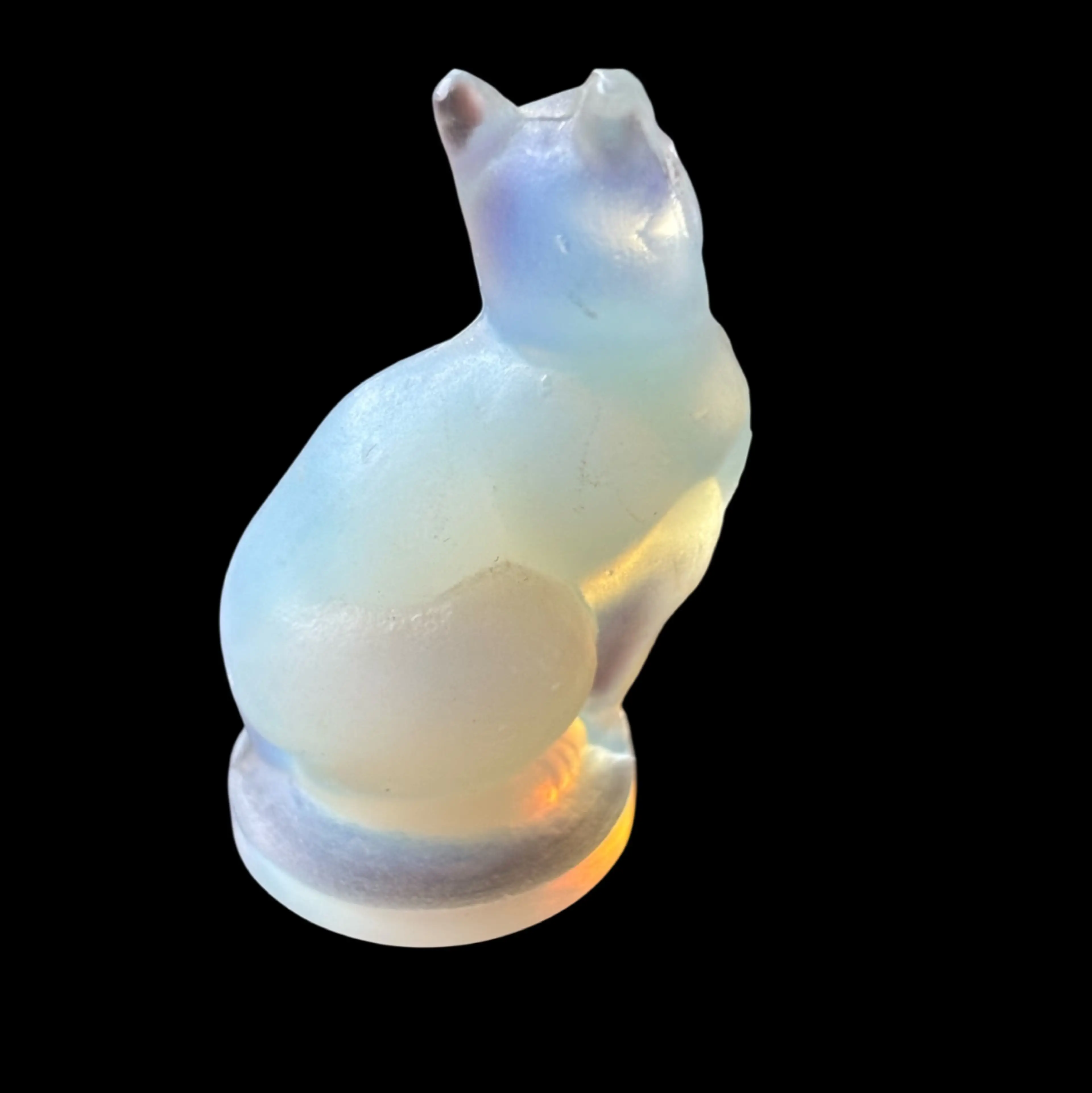 Niknax · Sabino Glass Cat