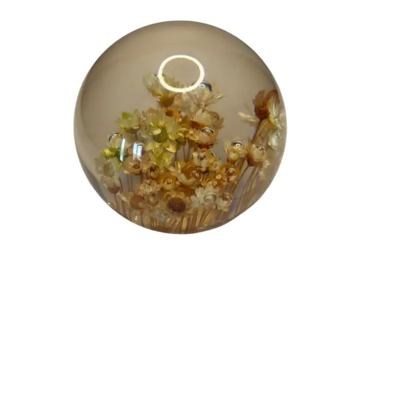 Vintage Lucite Round Dried Flower Paperweight That Glows 2 1/2x 3