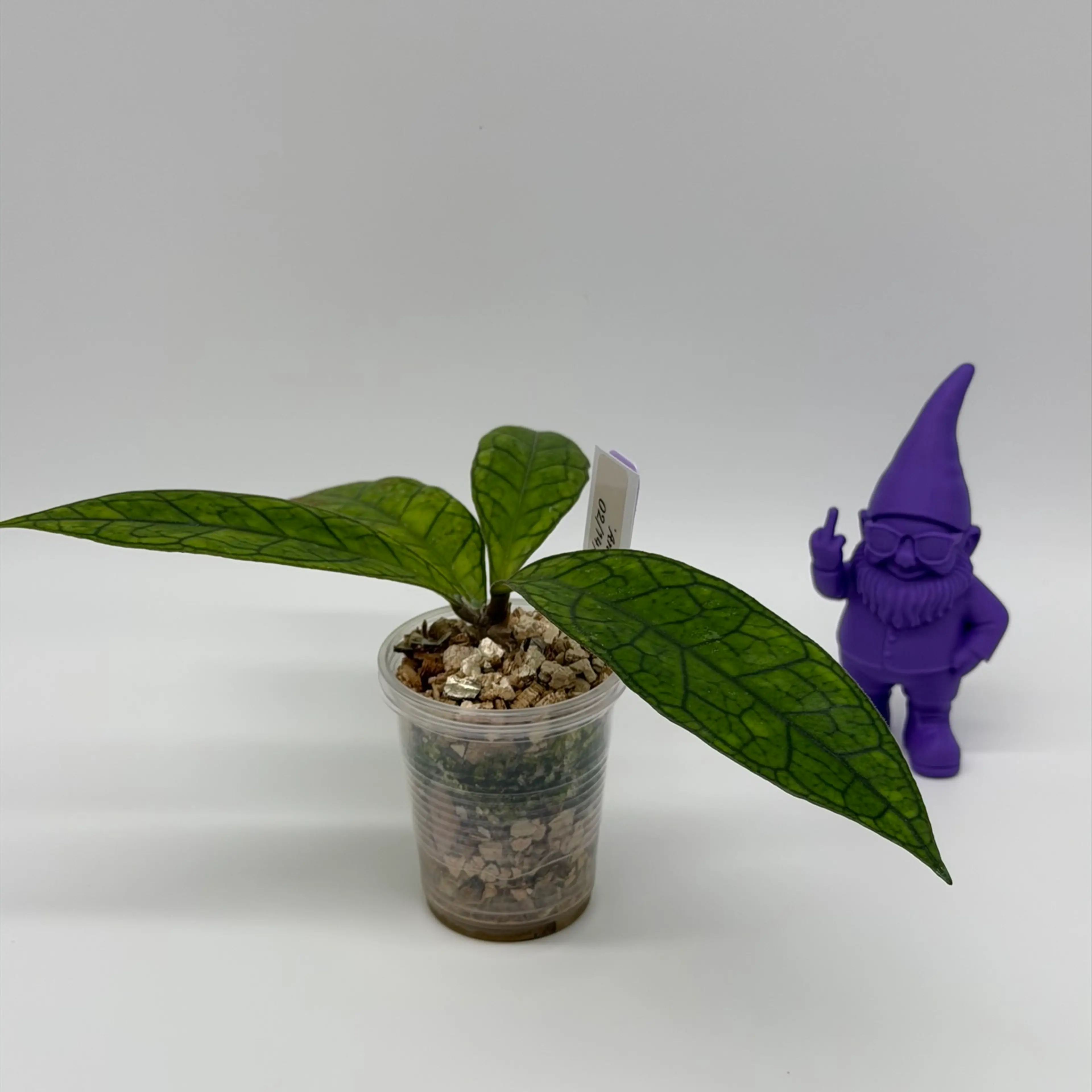 Image 3 of 3