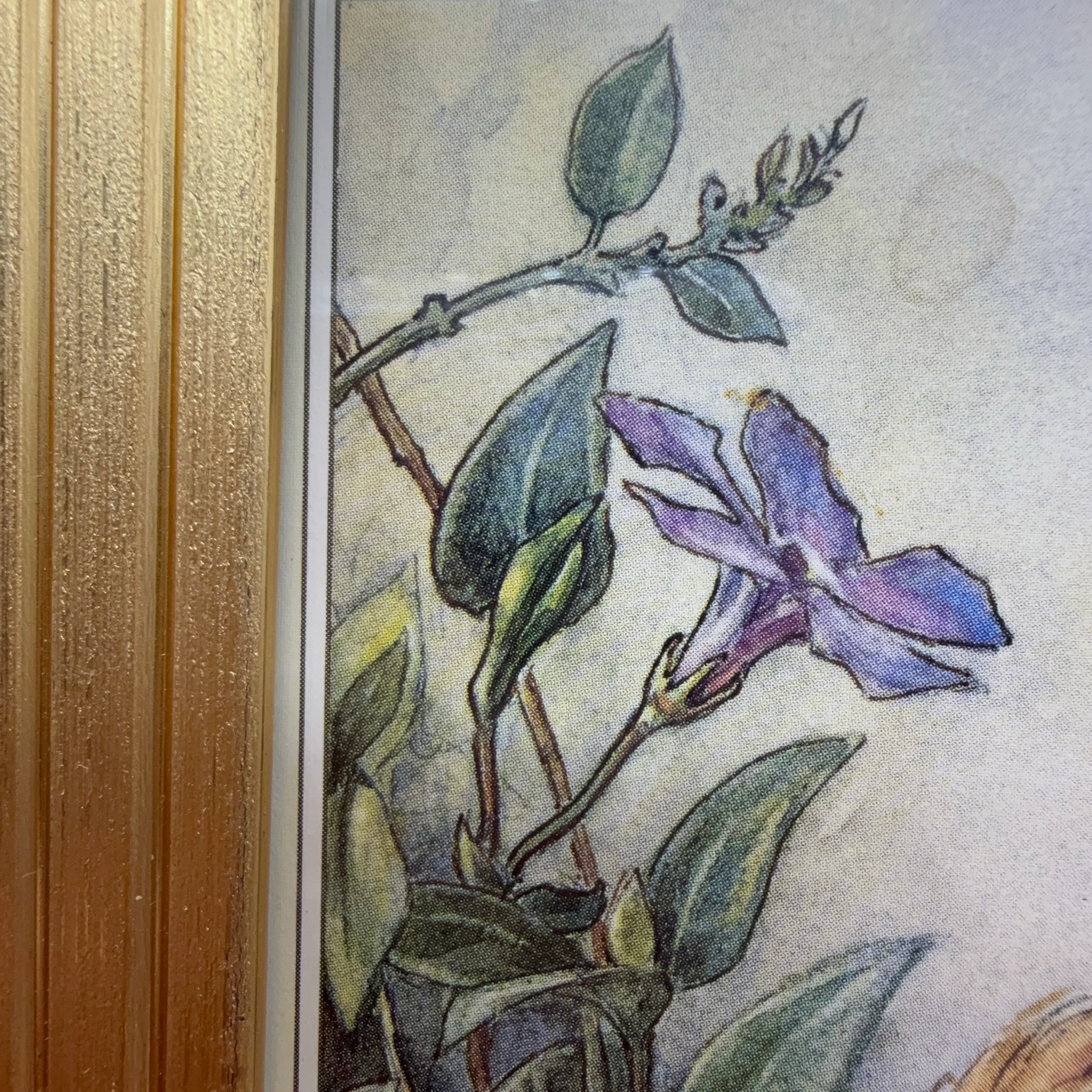 Image 2 of 6