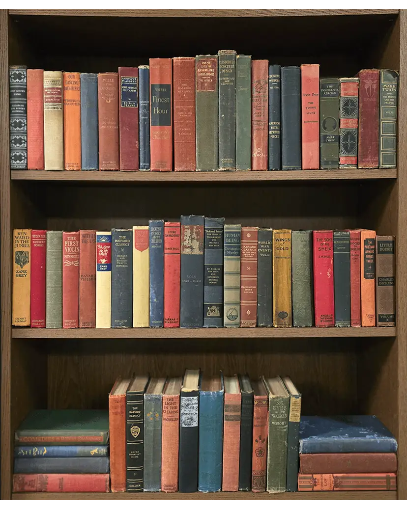 Antique / Vintage Book $2 Start