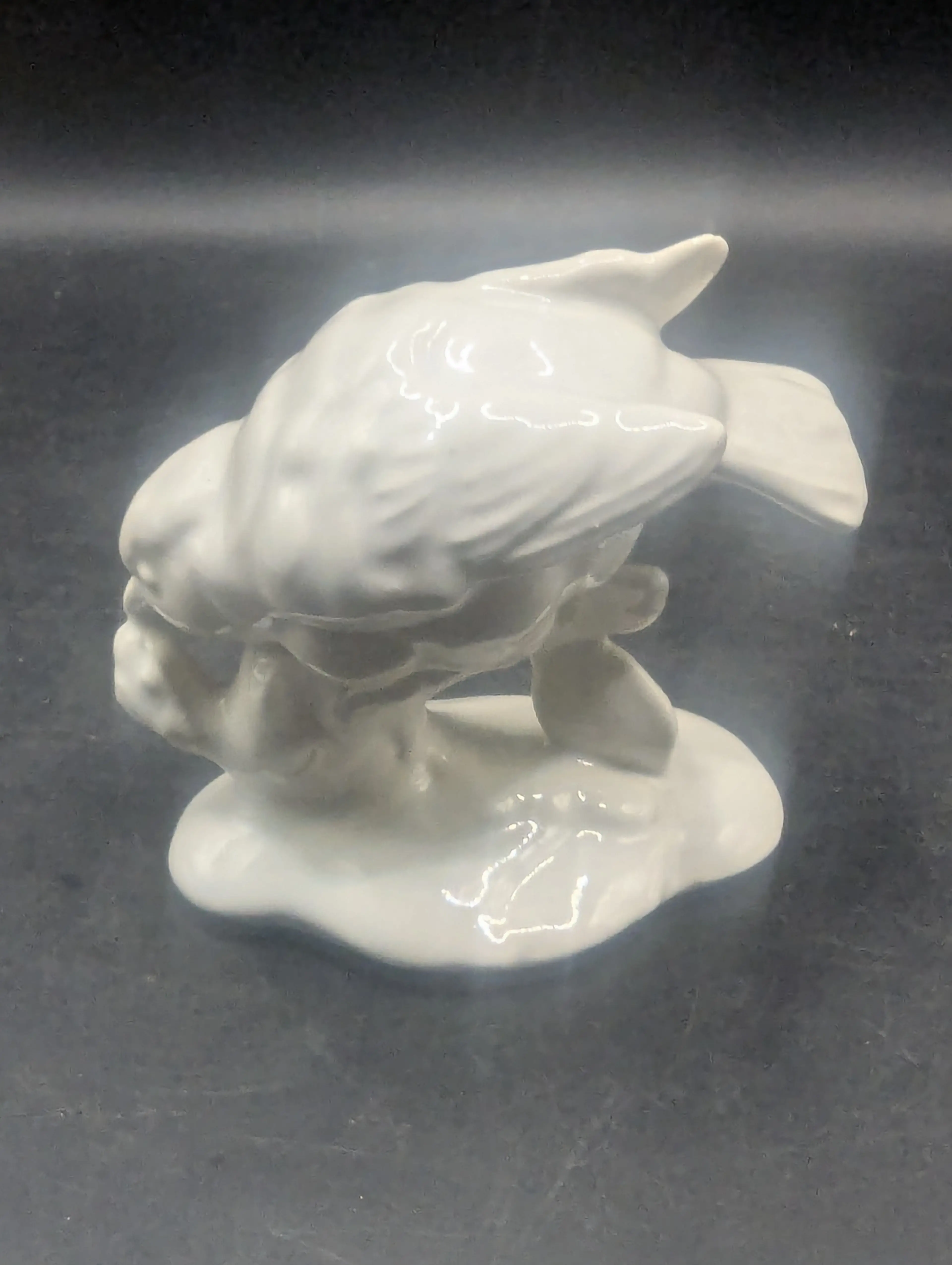 Image 1 of 8