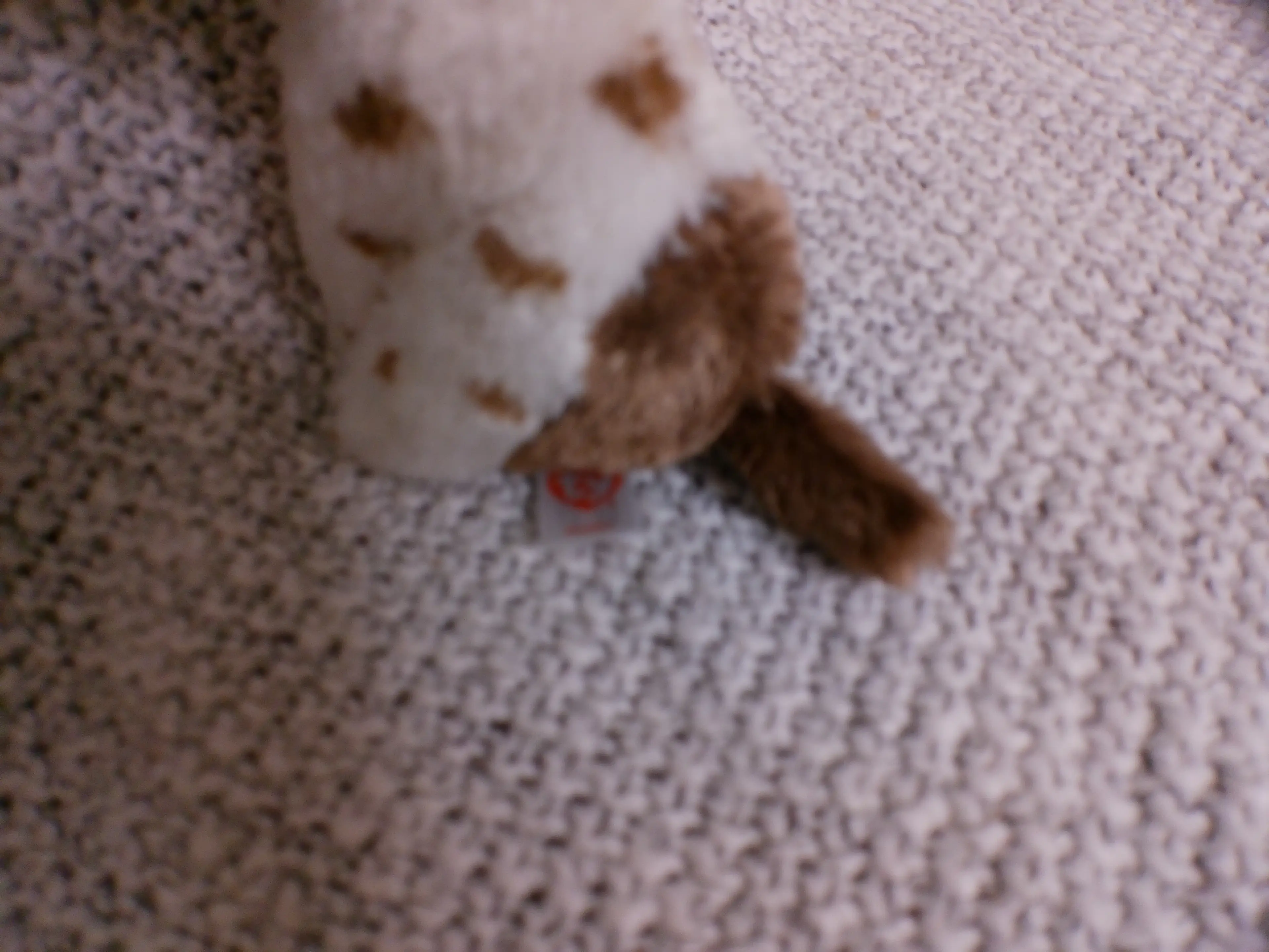 Image 3 of 3