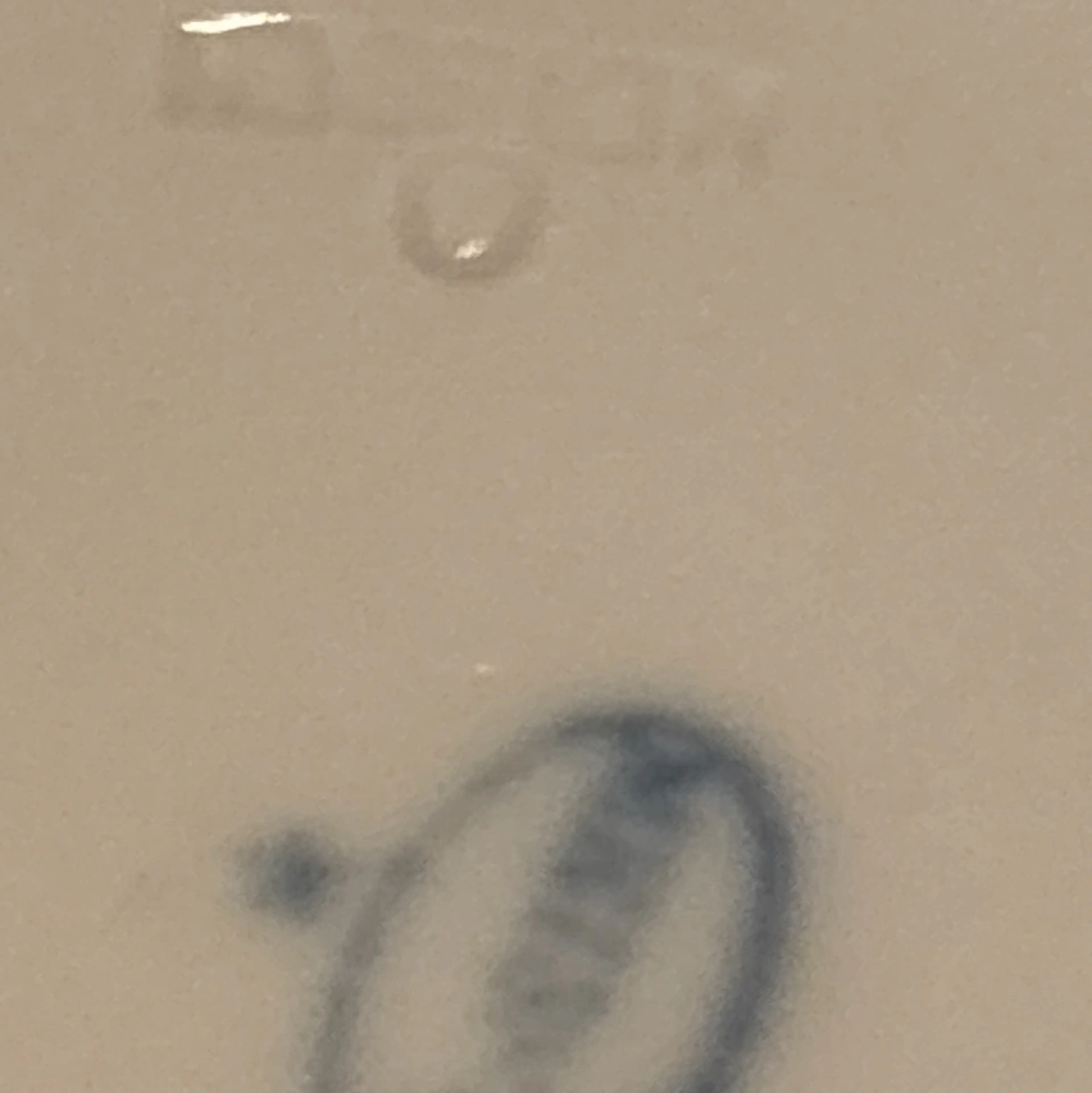 Image 5 of 7