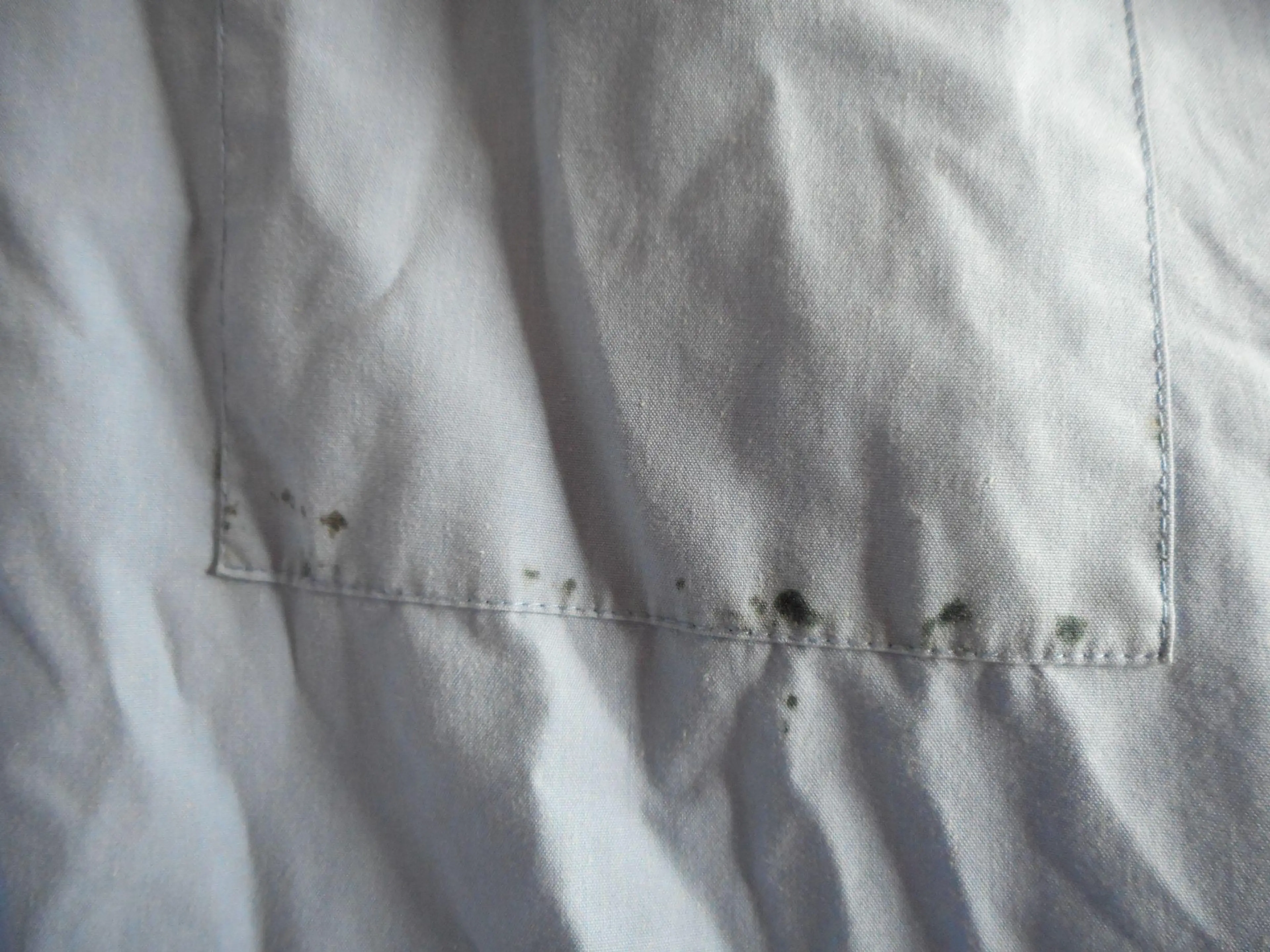 Image 4 of 8
