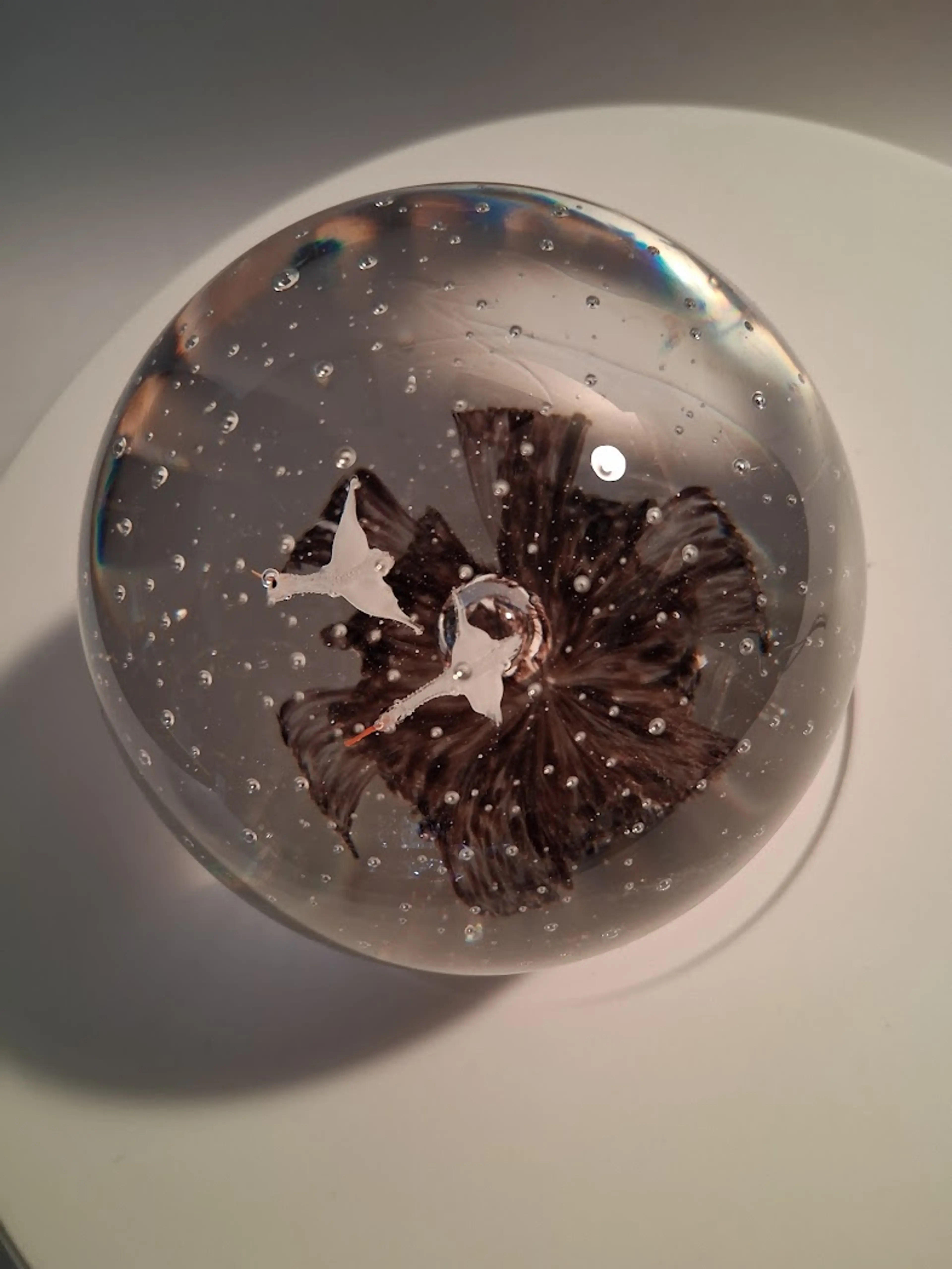 Image 2 of 7