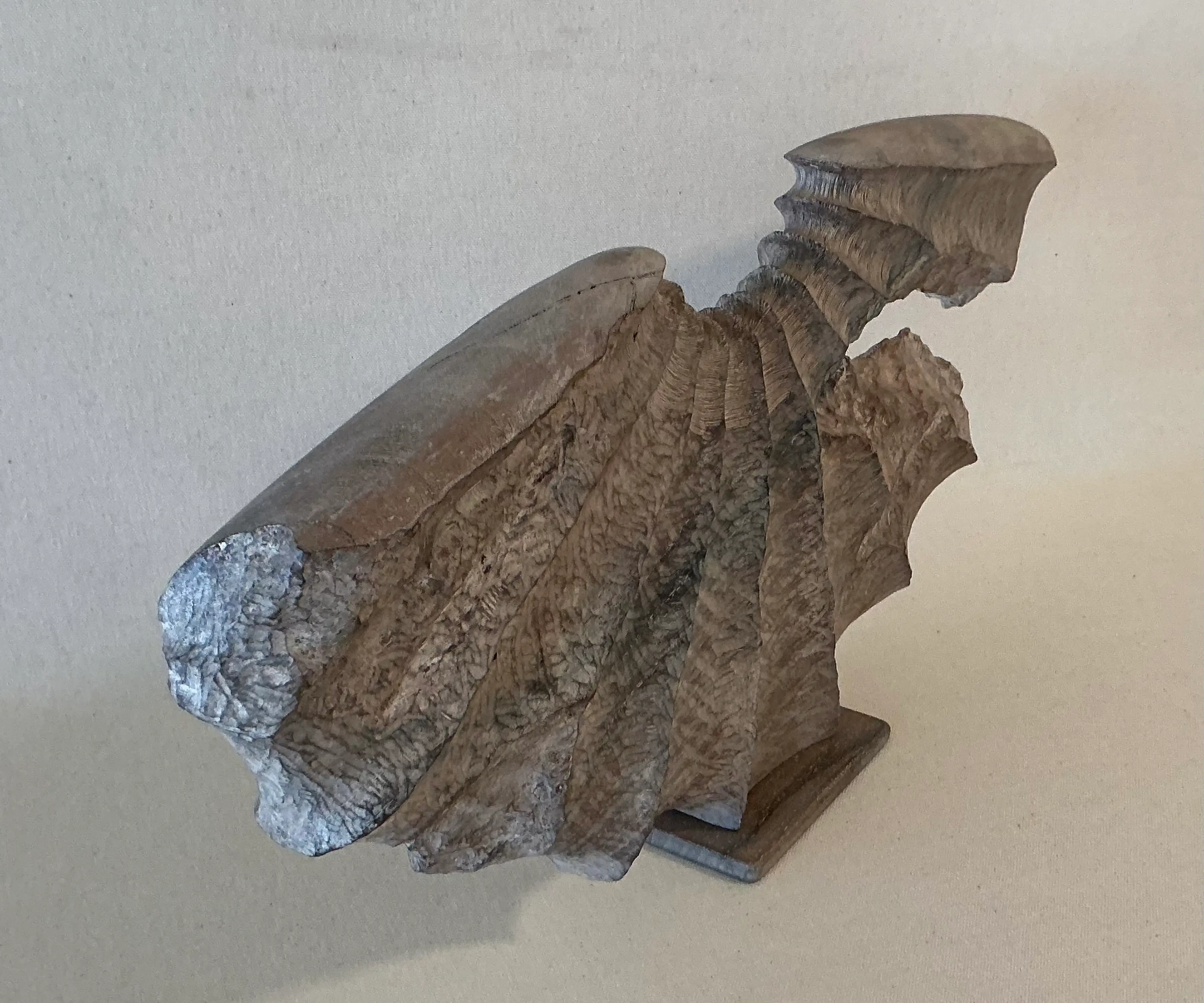 Image 5 of 5