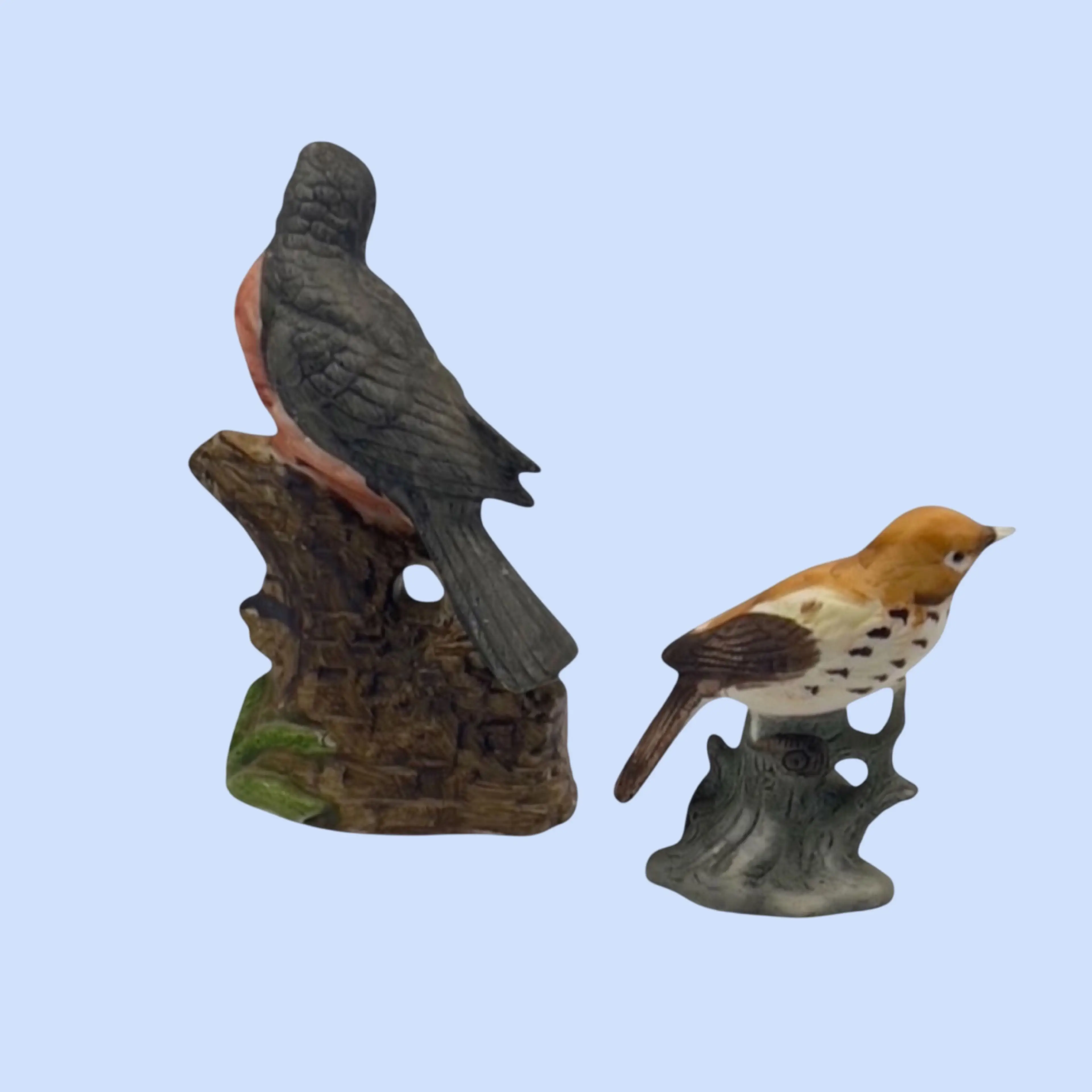 Image 3 of 8