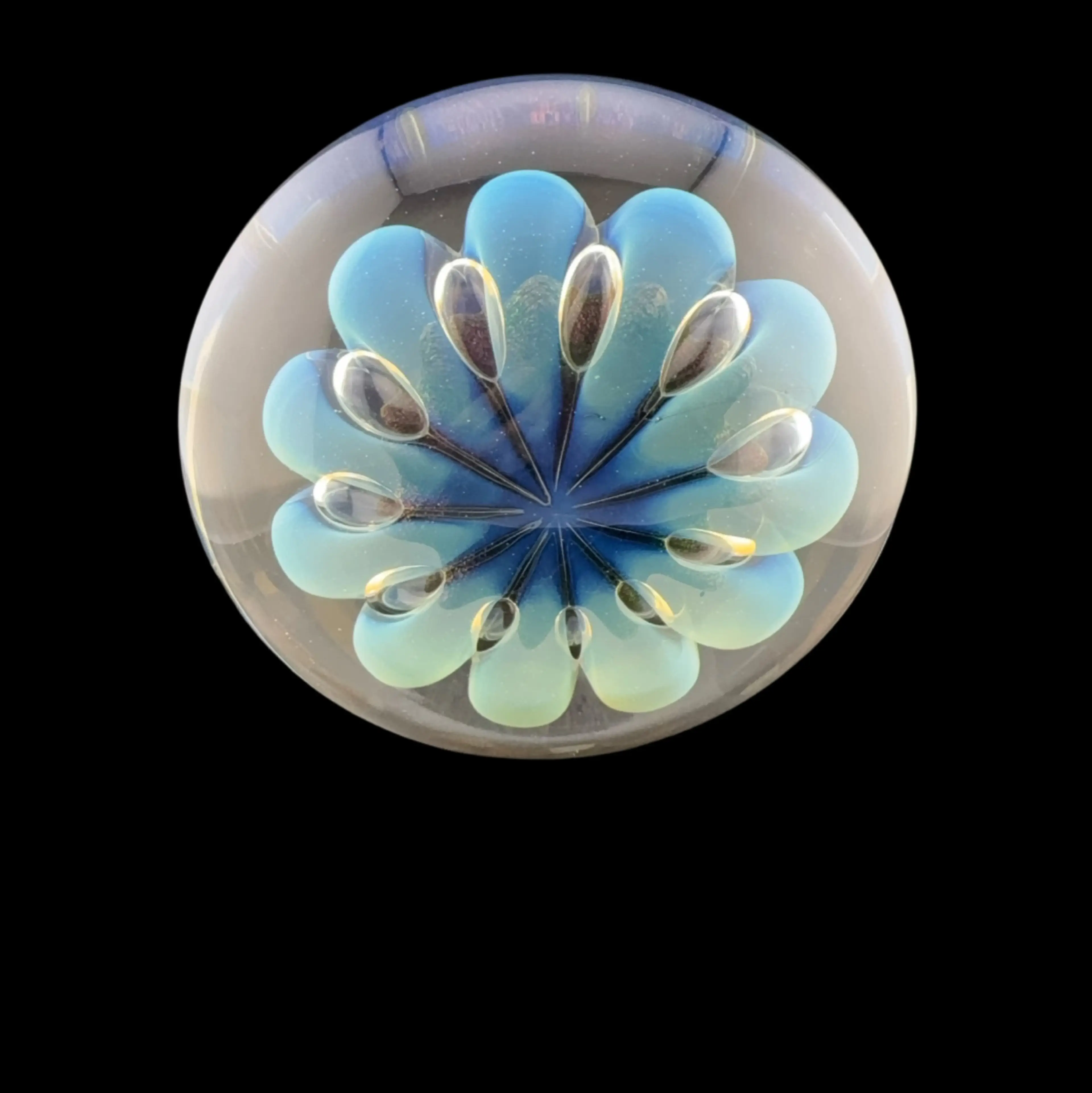 Image 3 of 14