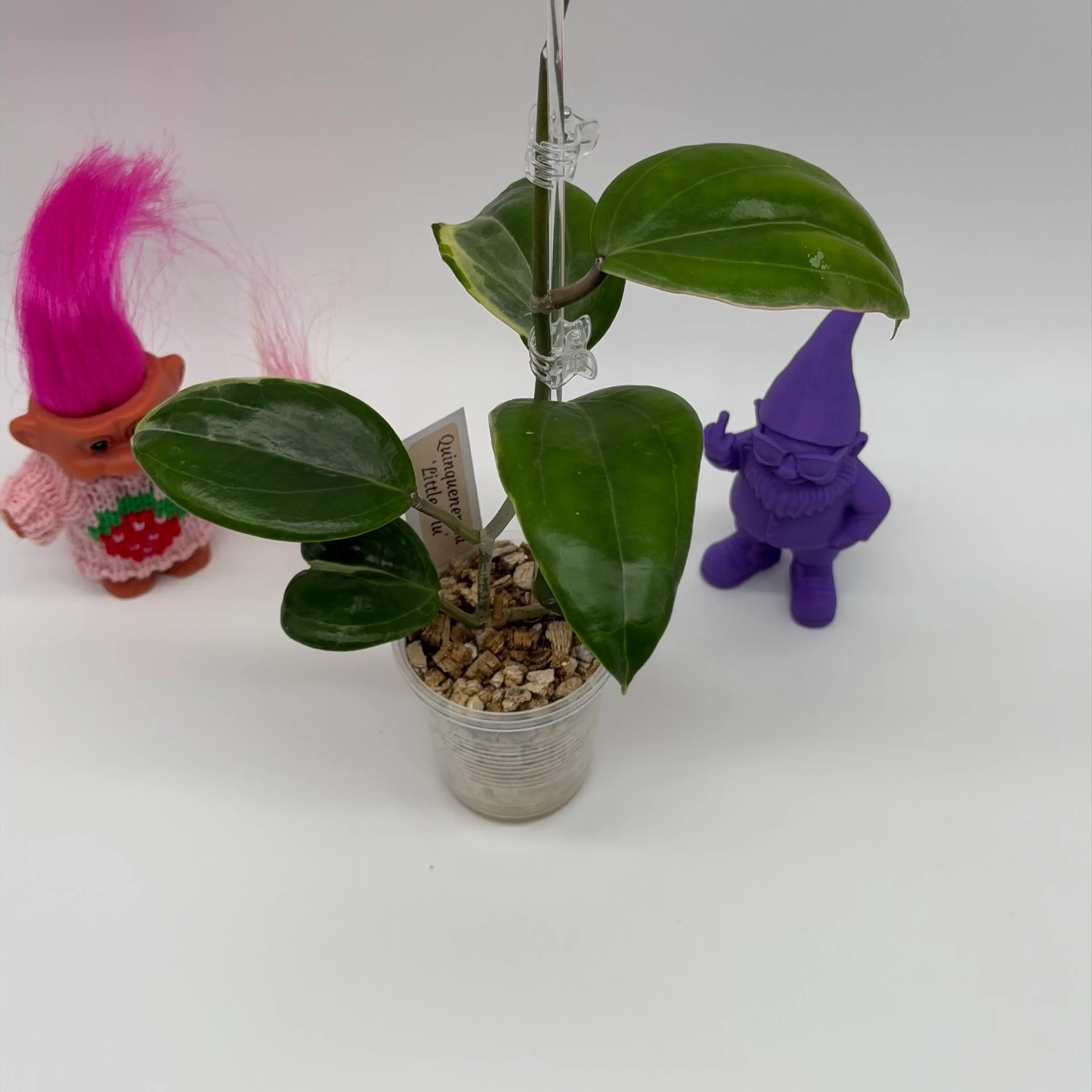Image 2 of 4