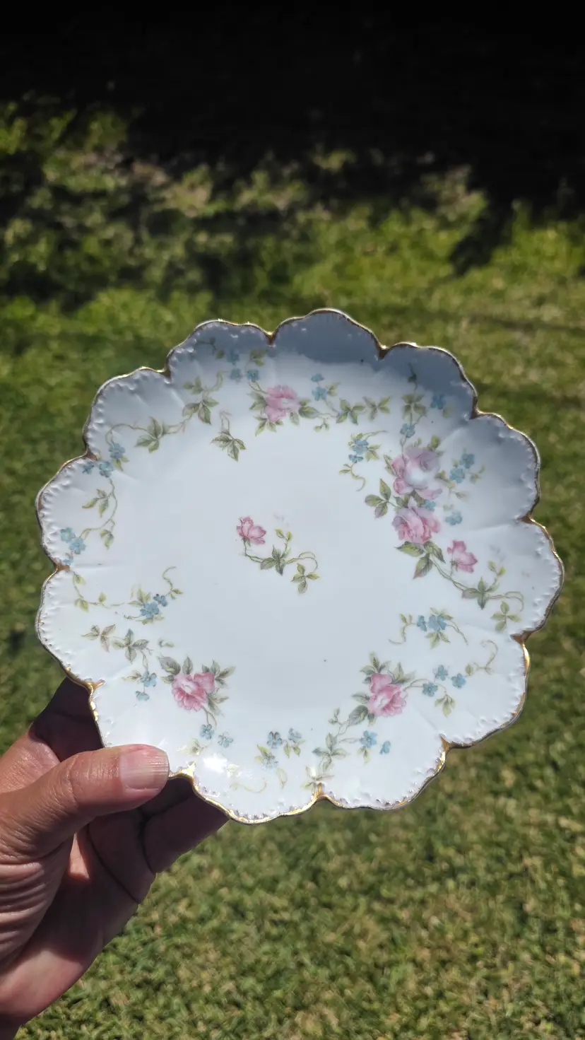 Set of 6 Antique Rosenthal RC Malmaison Bavaria 9" Plates Pink Roses Gold Trim