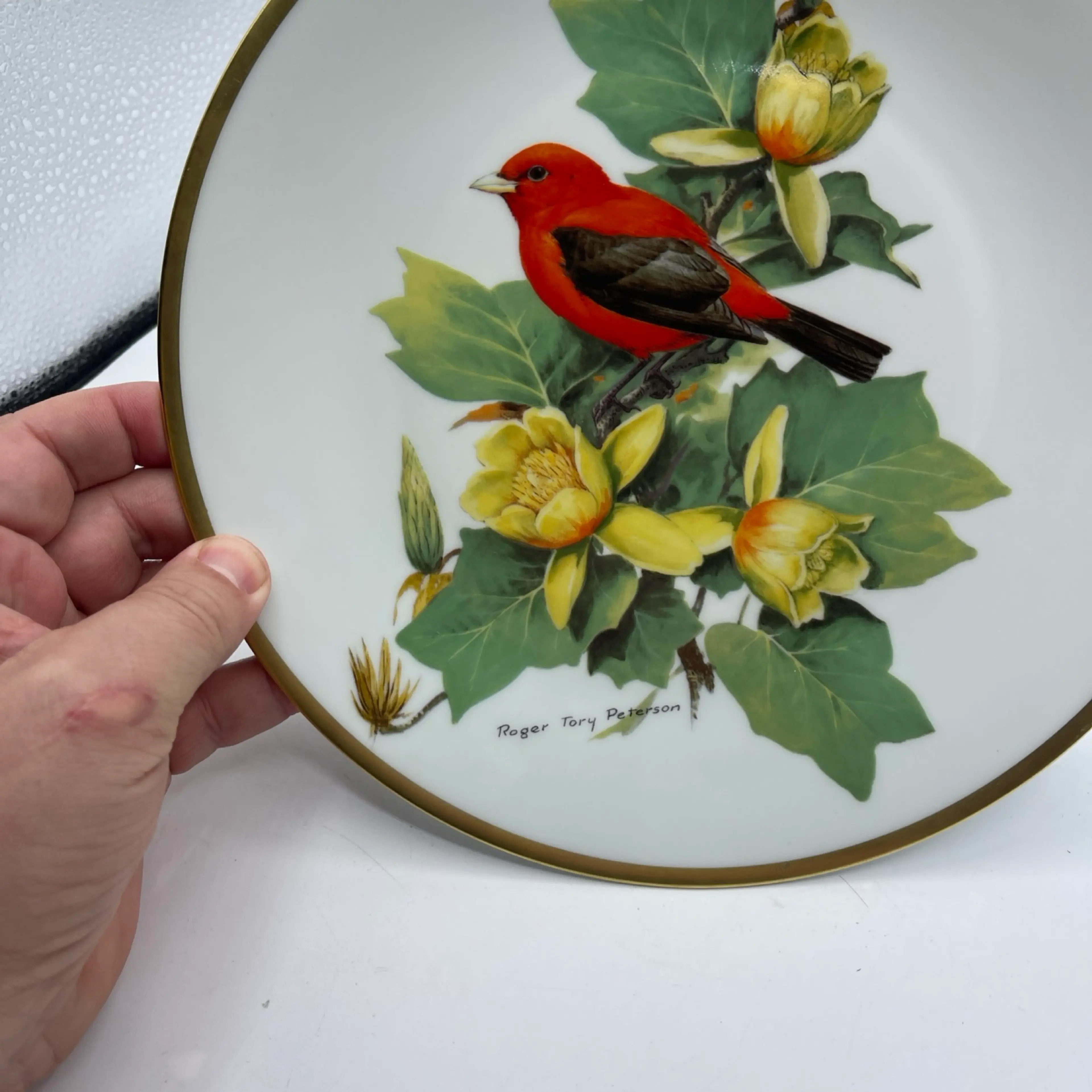 Image 1 of 8