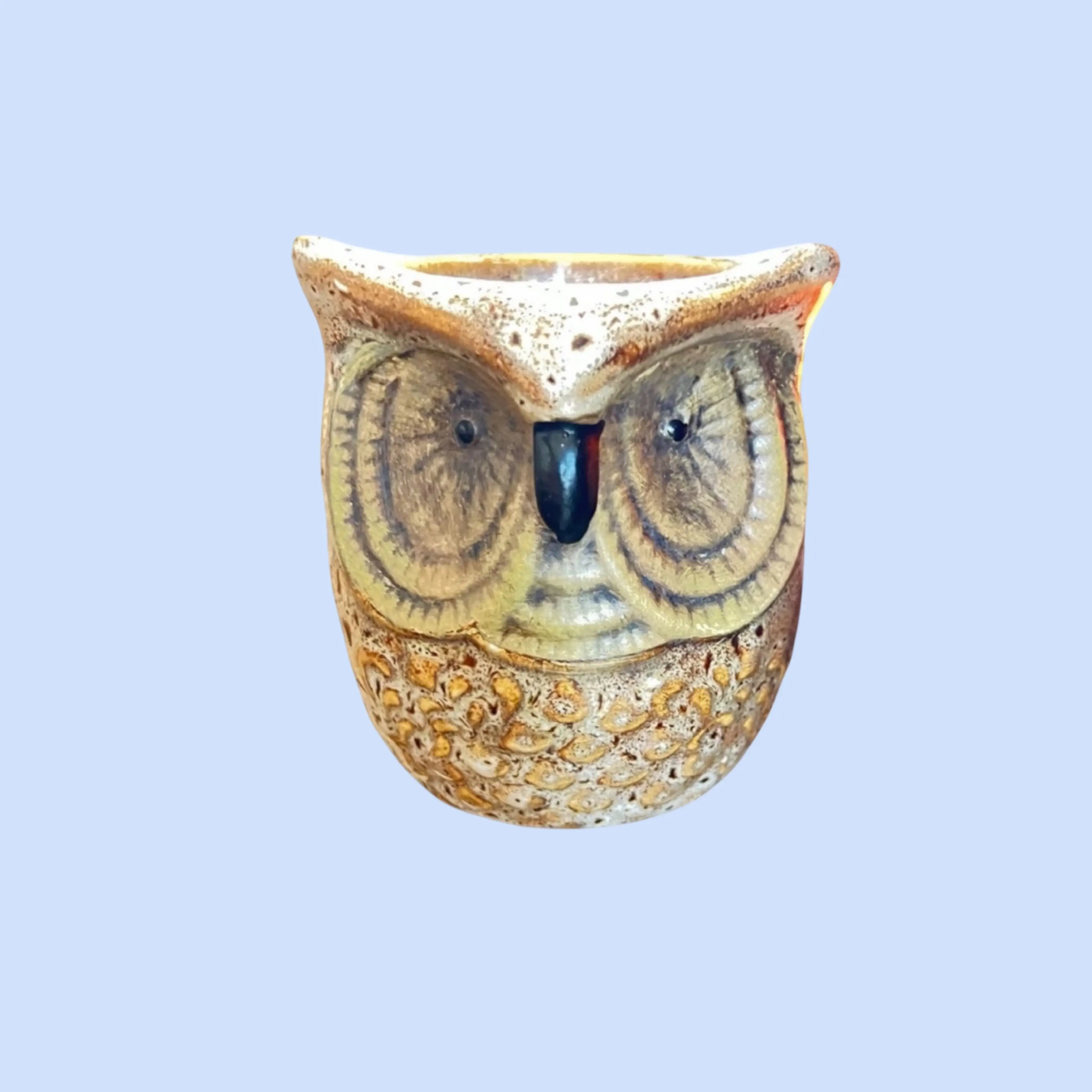 Image 2 of 11