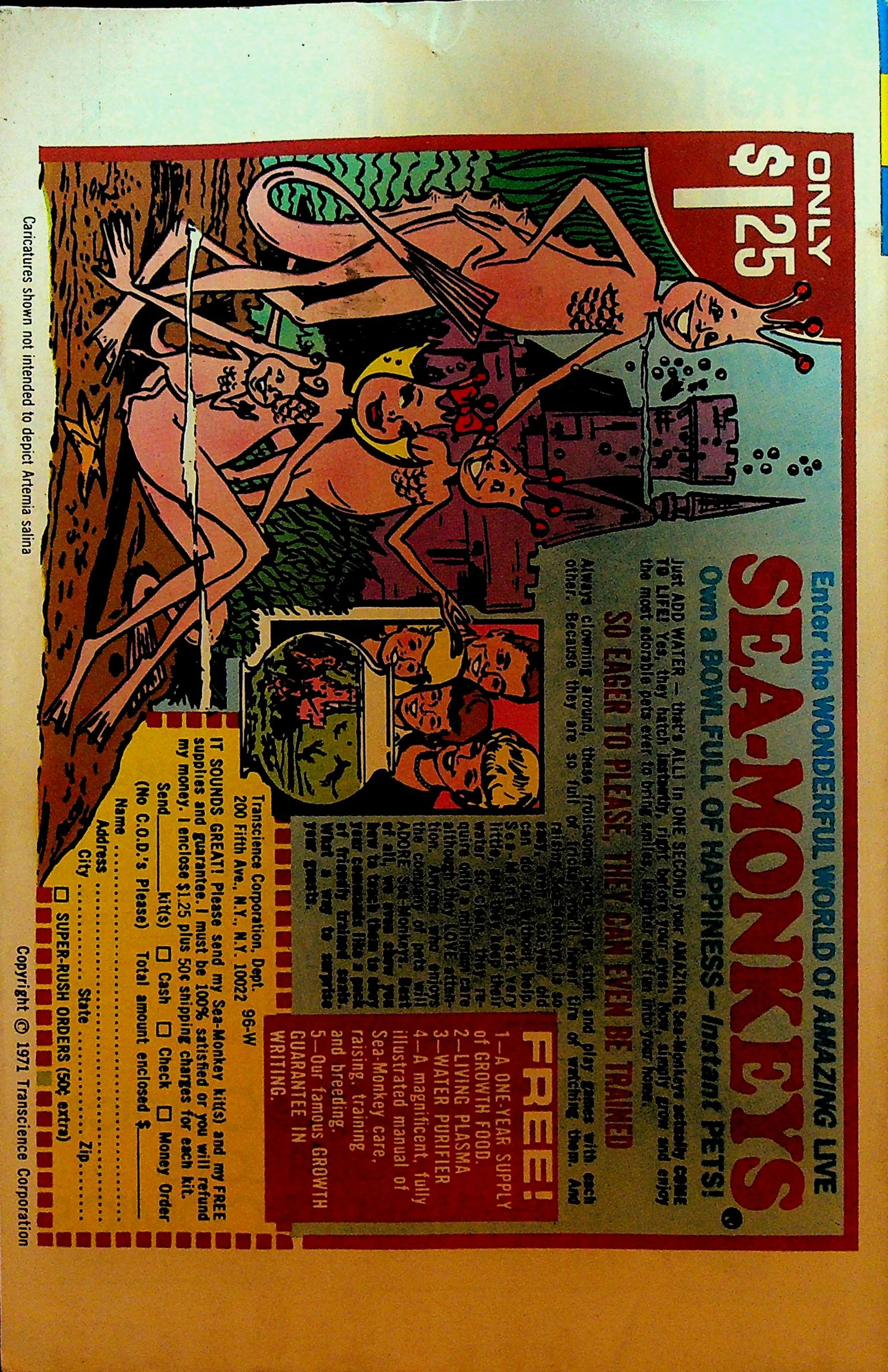 Image 2 of 2