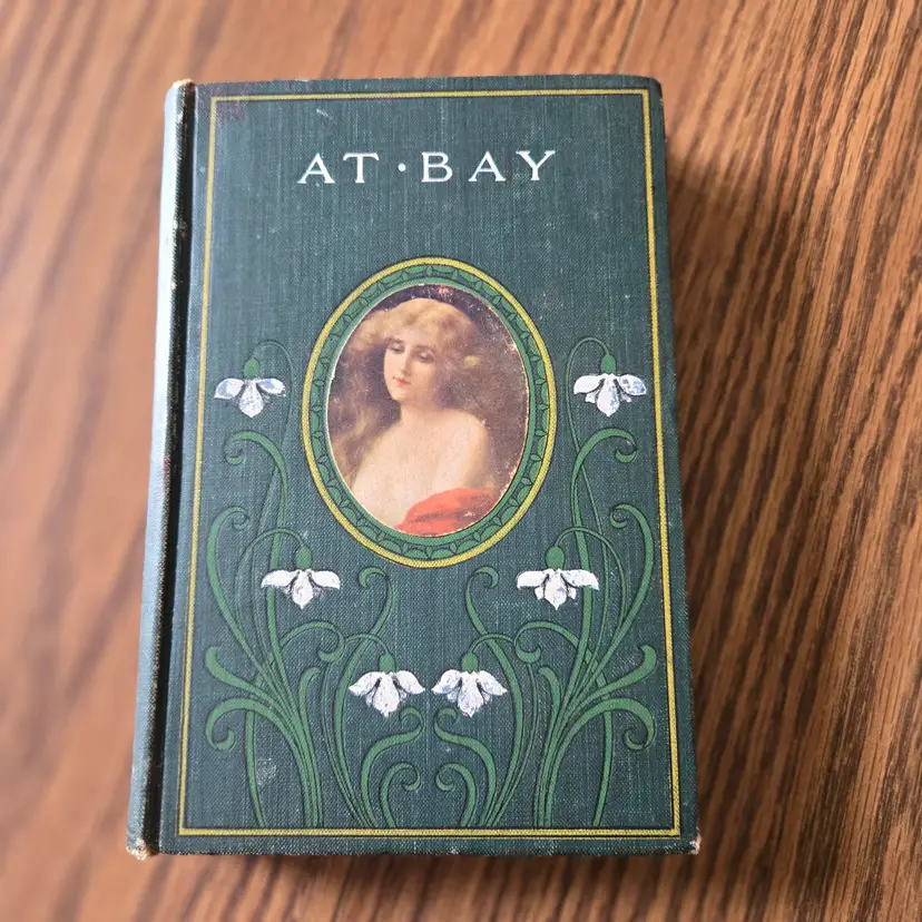 1906 - At Bay - Mrs Alexander - Colorful Cover!