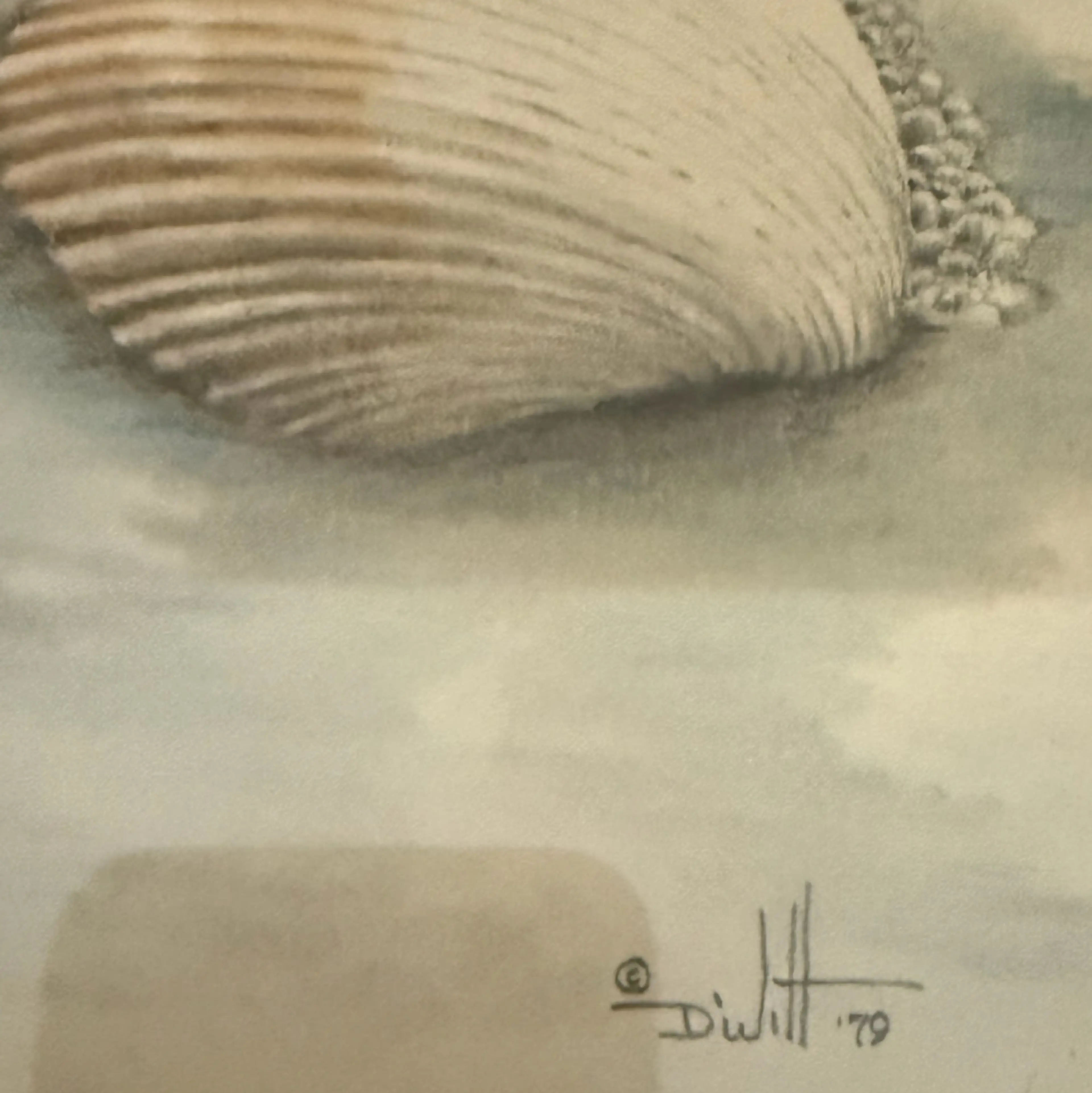 Image 5 of 6