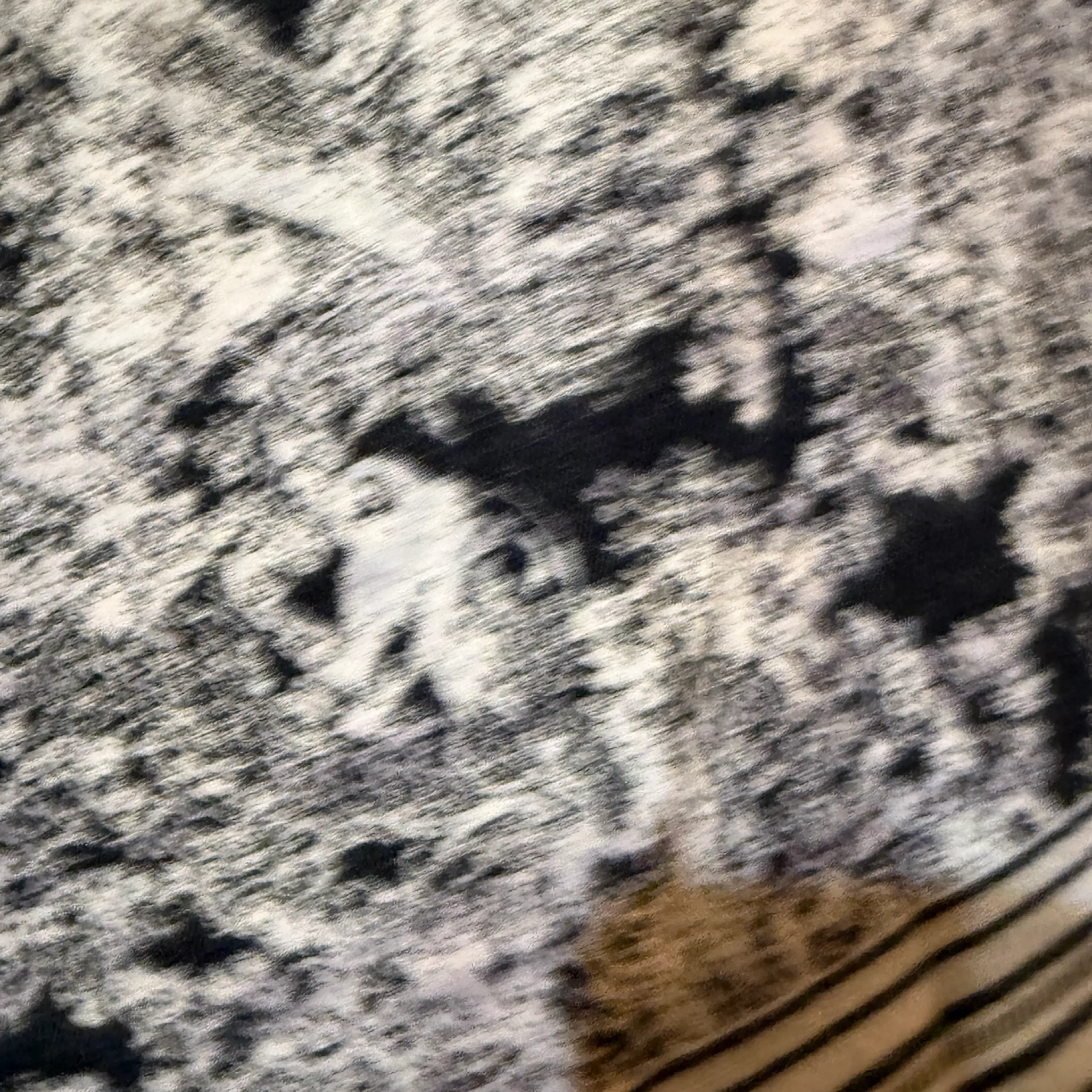 Image 4 of 7