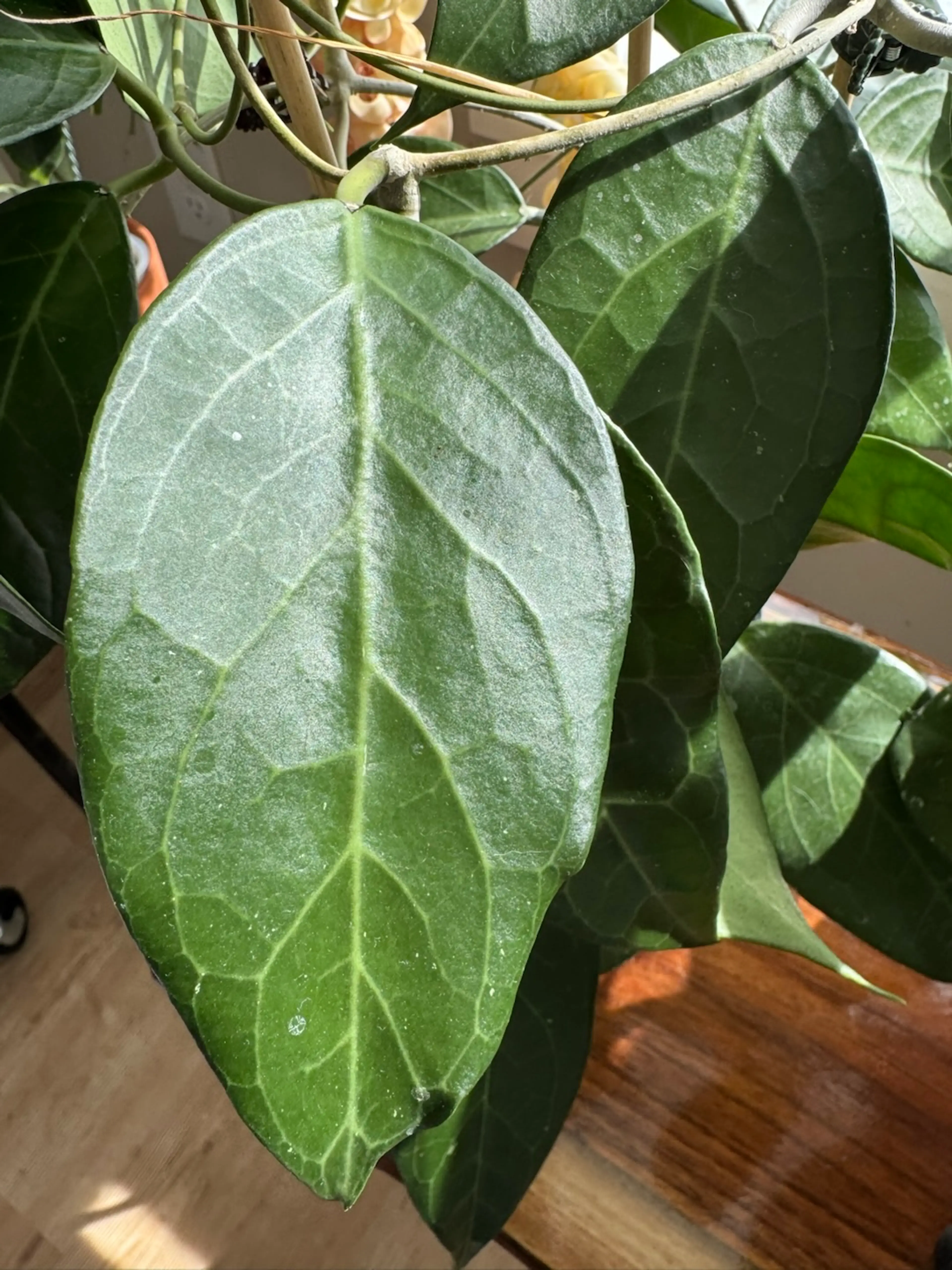 Image 3 of 9