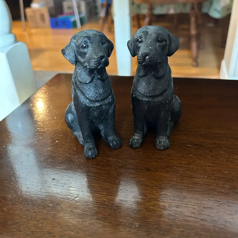 Lot Of Two Dogs