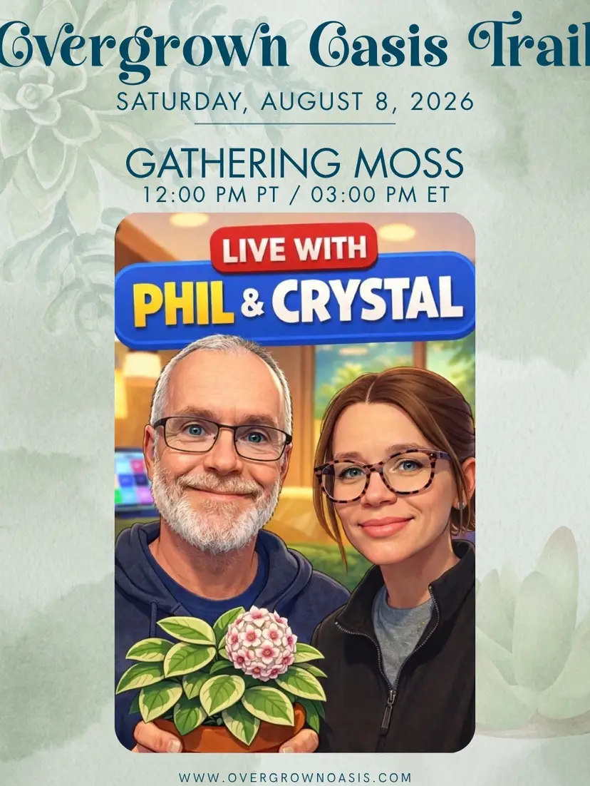 Livestream thumbnail