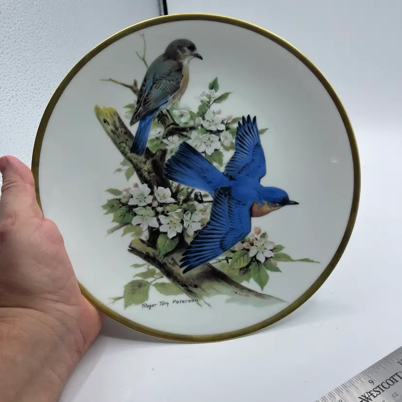 Roger Tory Peterson ~Bluebird~ Limoges Porcelain Collector Plate 1981 Songbirds