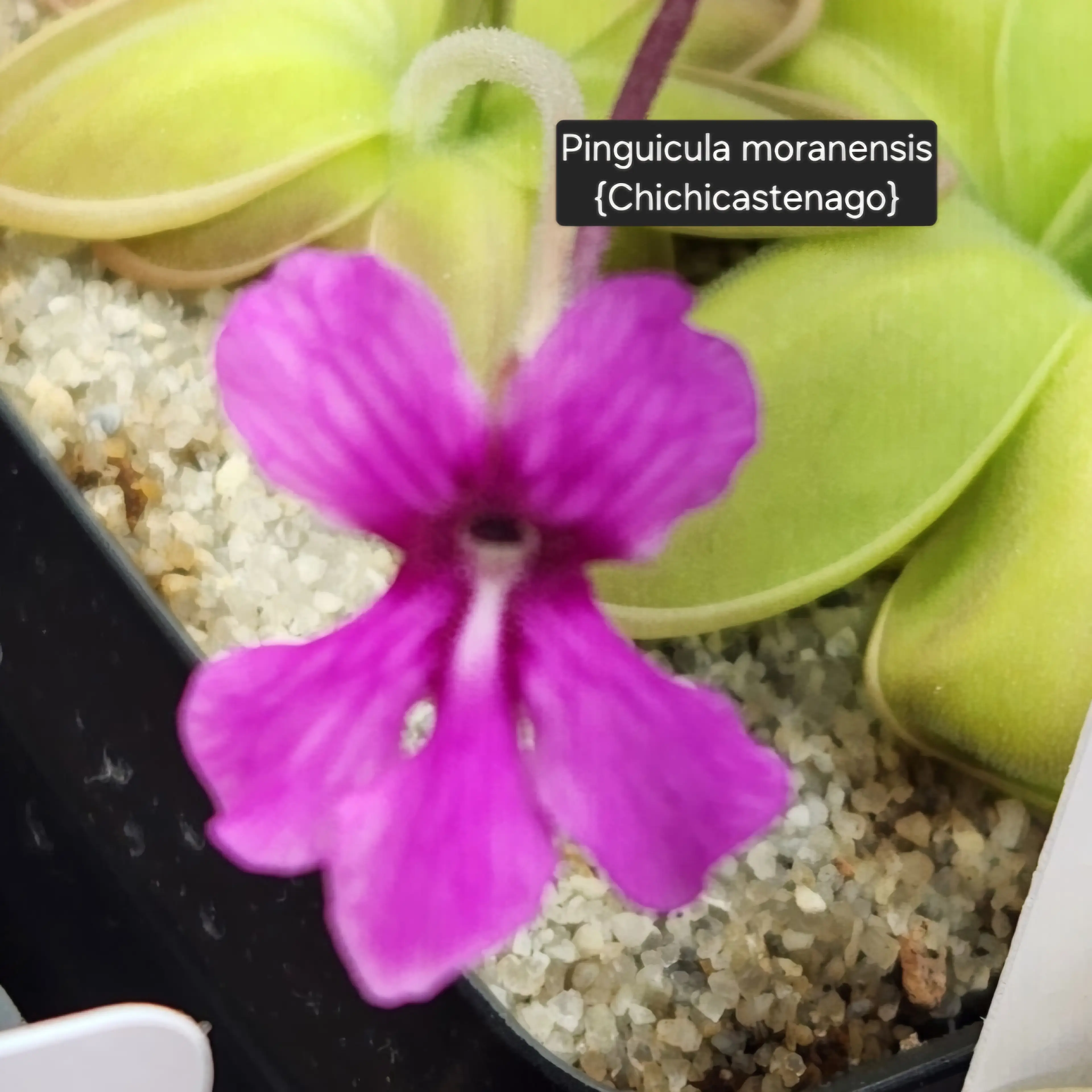 Image 3 of 6
